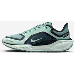 398740503501 NIKE Women's Waterproof Road Running Shoes Pegasus 41 Gore-tex  Standard Small1x1