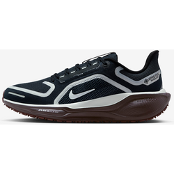 Women's Waterproof Road Running Shoes Pegasus 41 Gore-tex - DARK OBSIDIAN/BLACK/ANTHRACITE/PURE PLATINUM Standard Small1x1