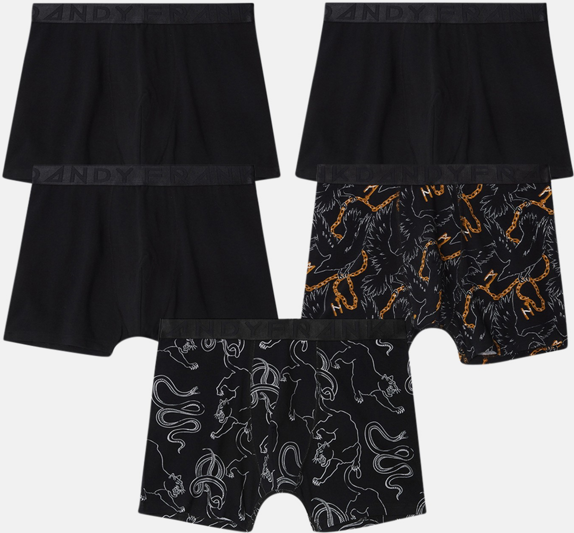 FRANK DANDY, 5-pack Power Struggle Boxers