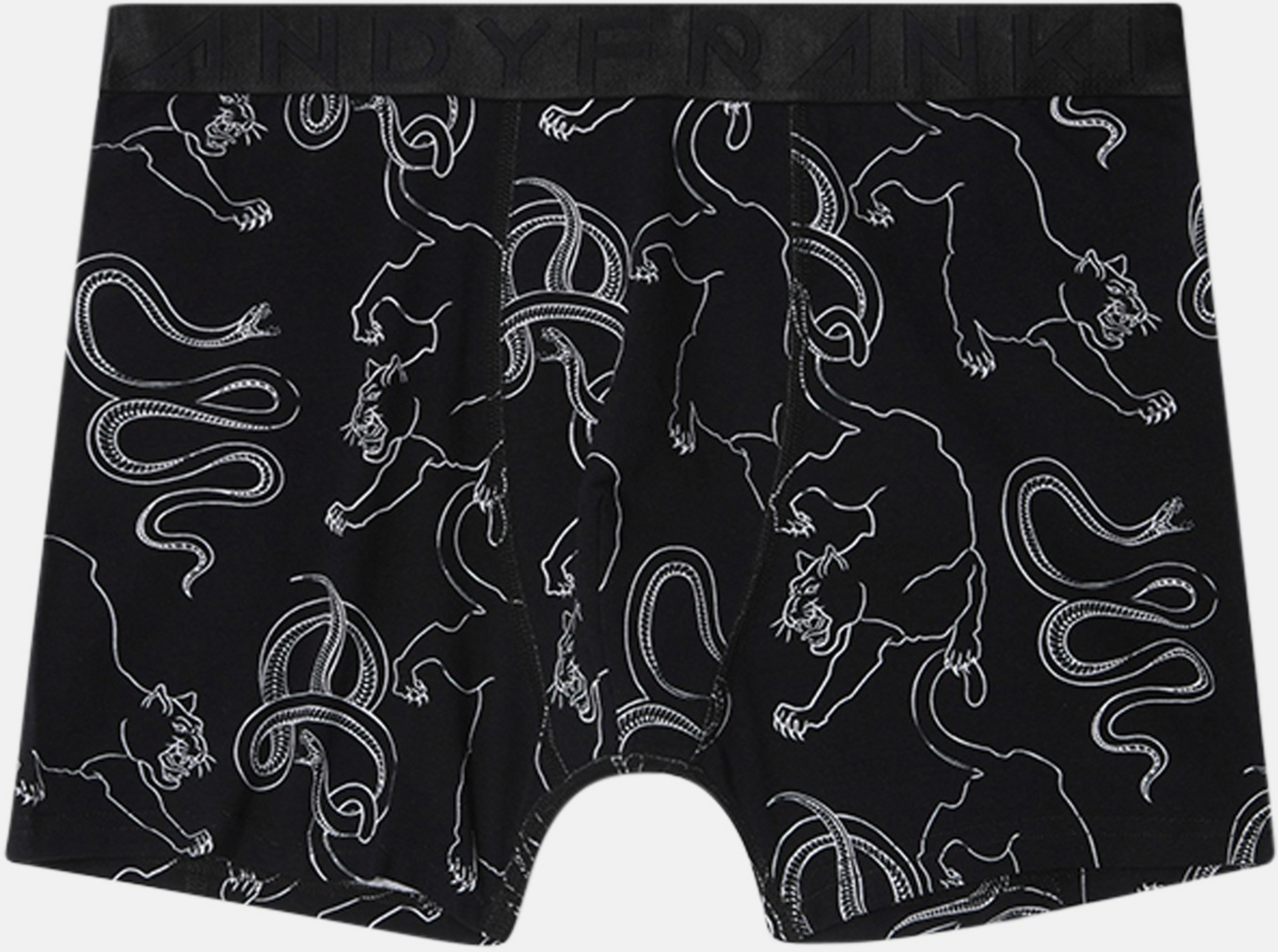 FRANK DANDY, 5-pack Power Struggle Boxers