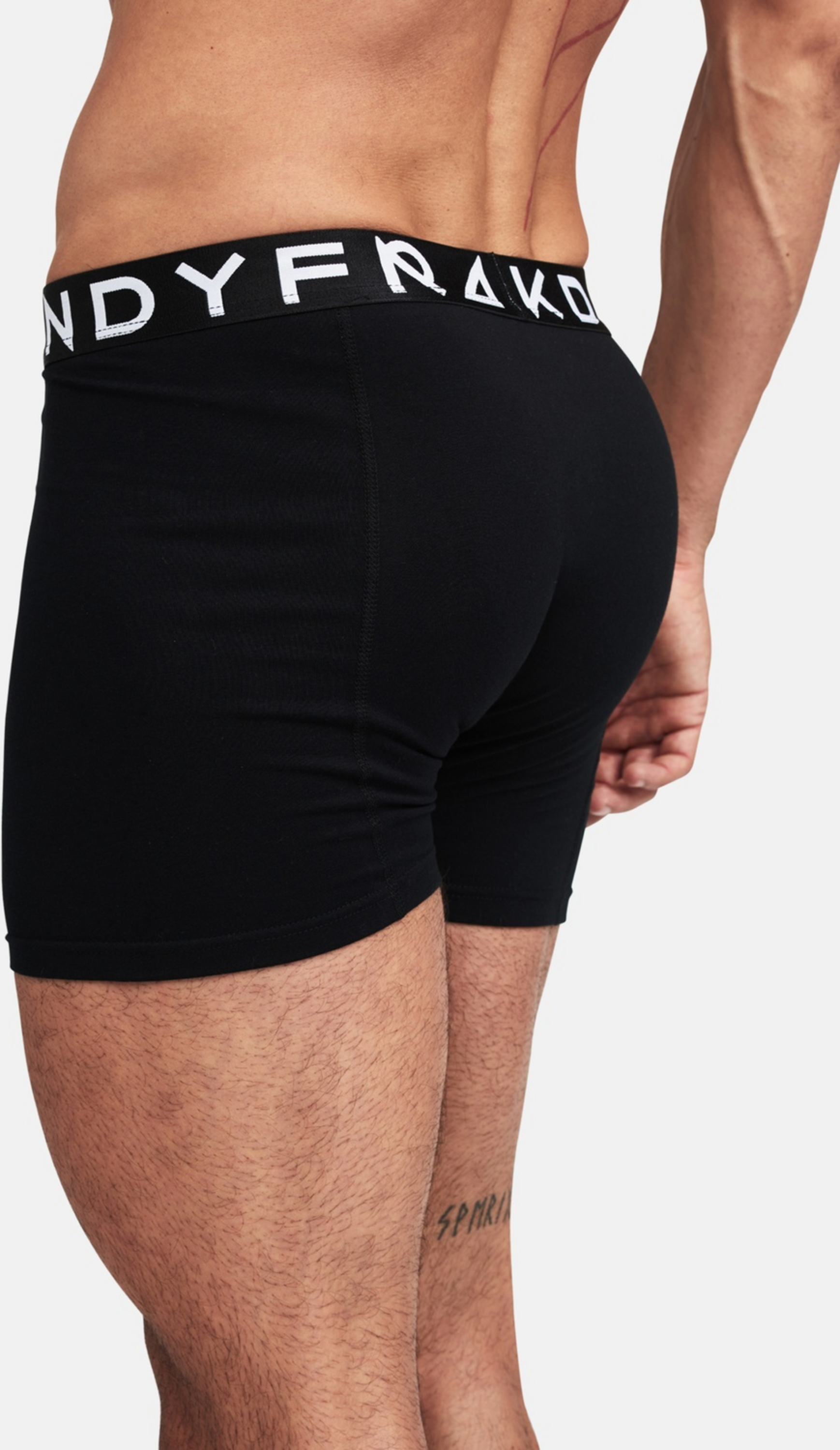 FRANK DANDY, 5-pack Wolfpack  Boxers