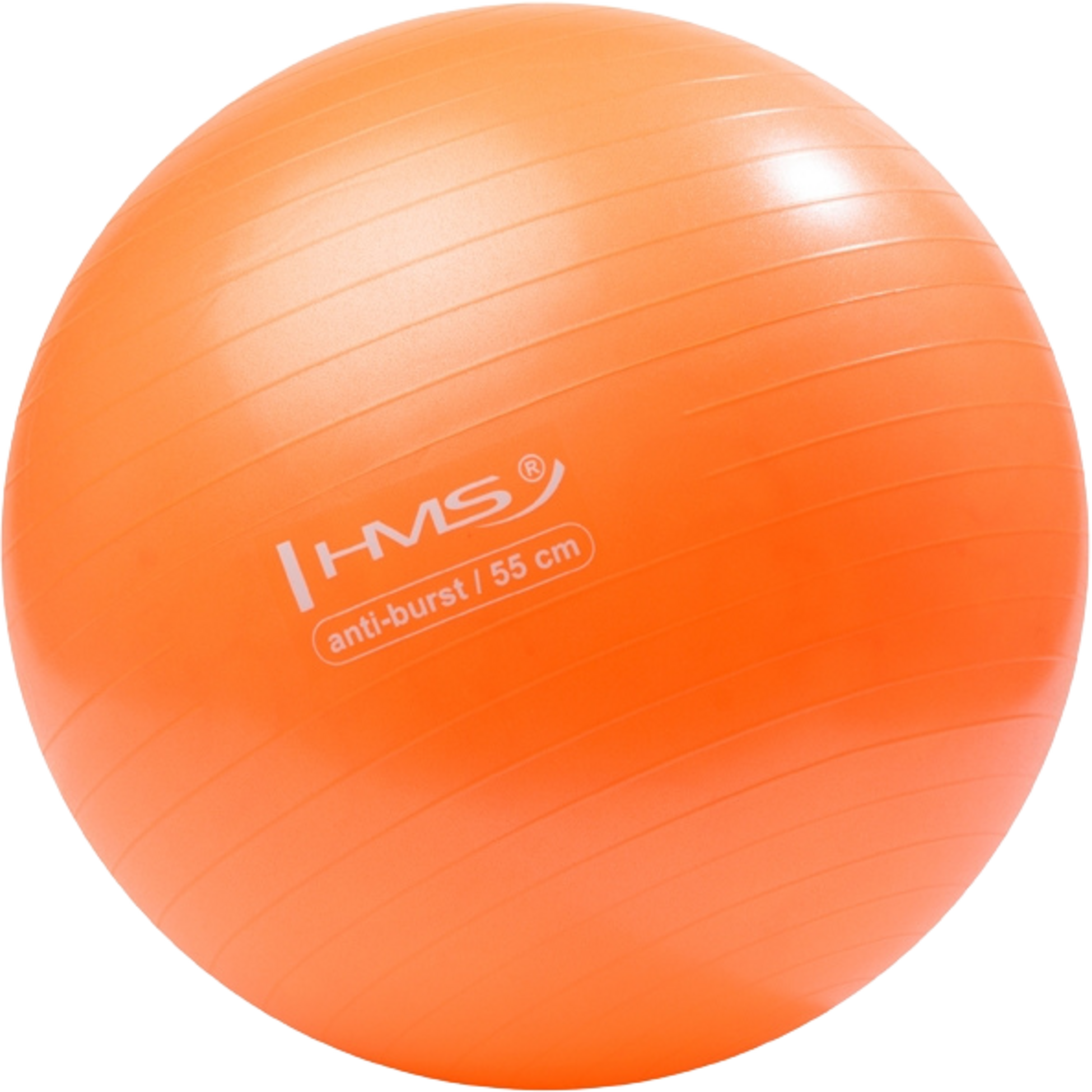 NORTHIX, 55cm Orange Gym Ball &ndash; Anti-burst, Non-slip Surface