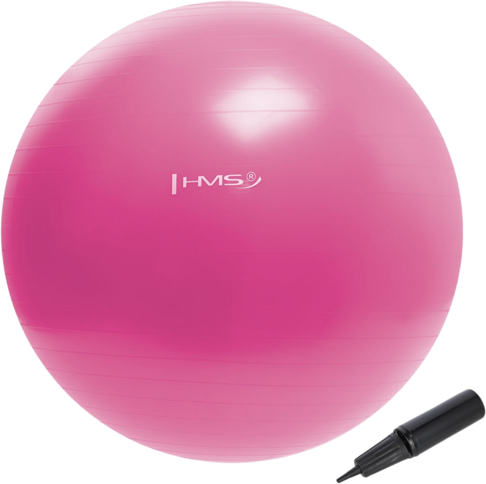 NORTHIX, 55cm Pink Gym Ball &ndash; Anti-burst, Non-slip