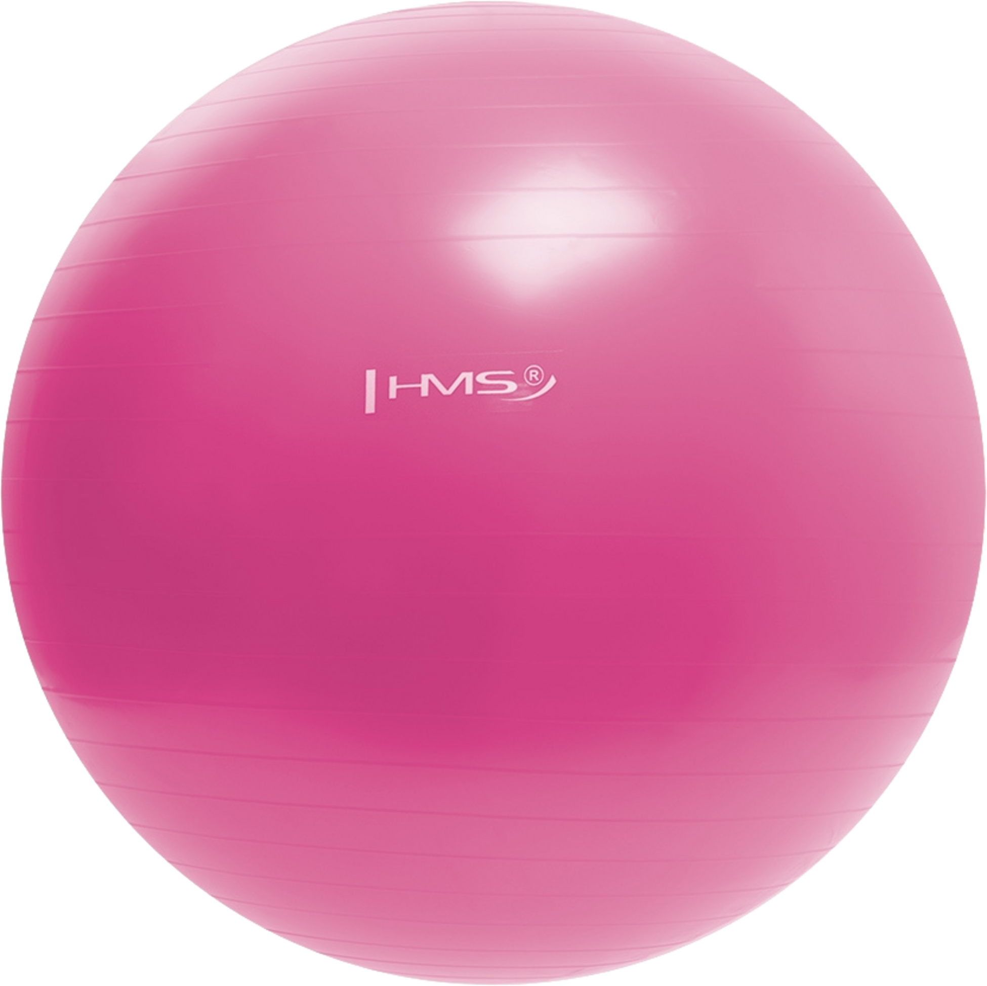 NORTHIX, 55cm Pink Gym Ball &ndash; Anti-burst, Non-slip