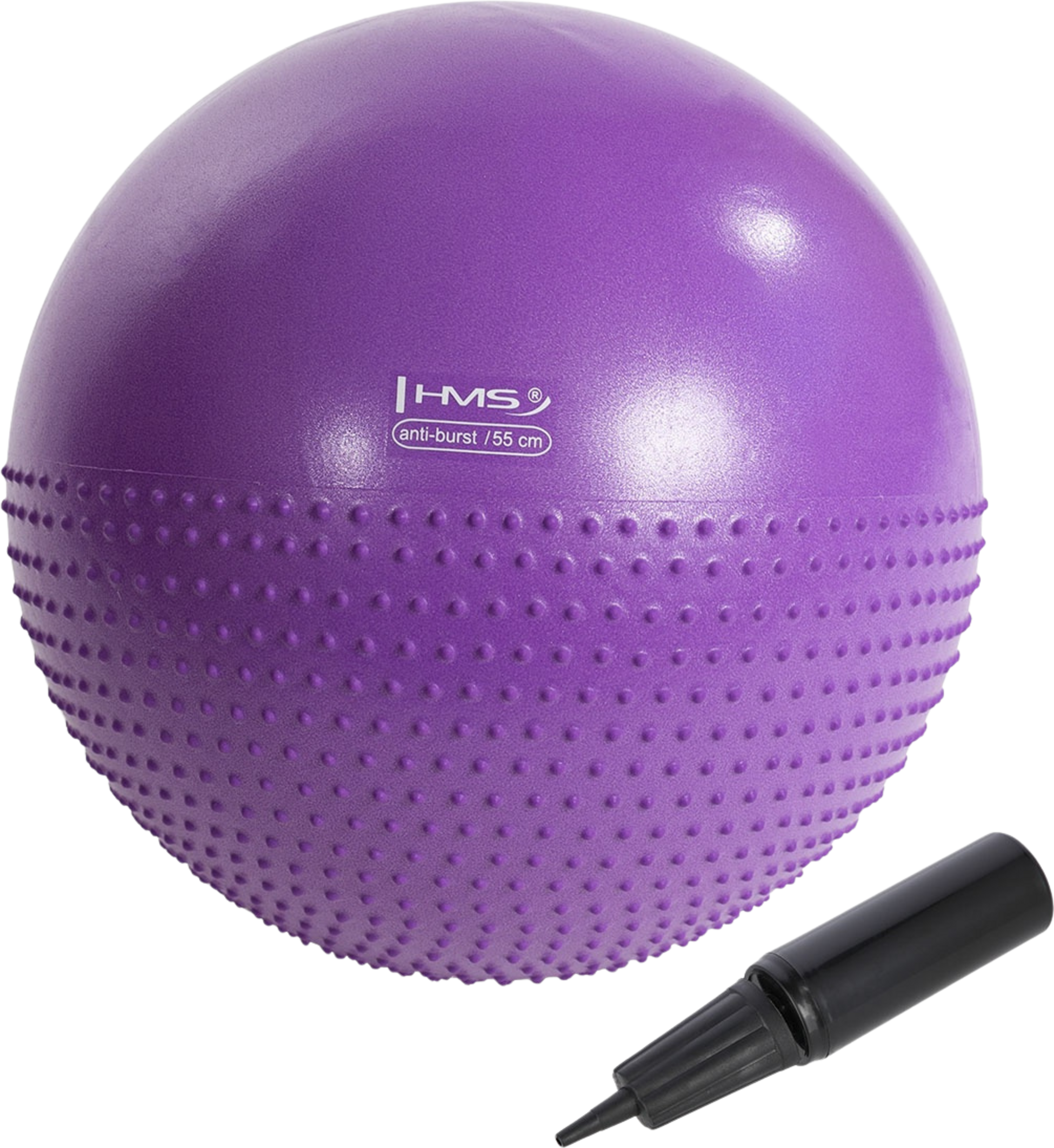 NORTHIX, 55cm Violet Gym Ball For Exercise  Fitness