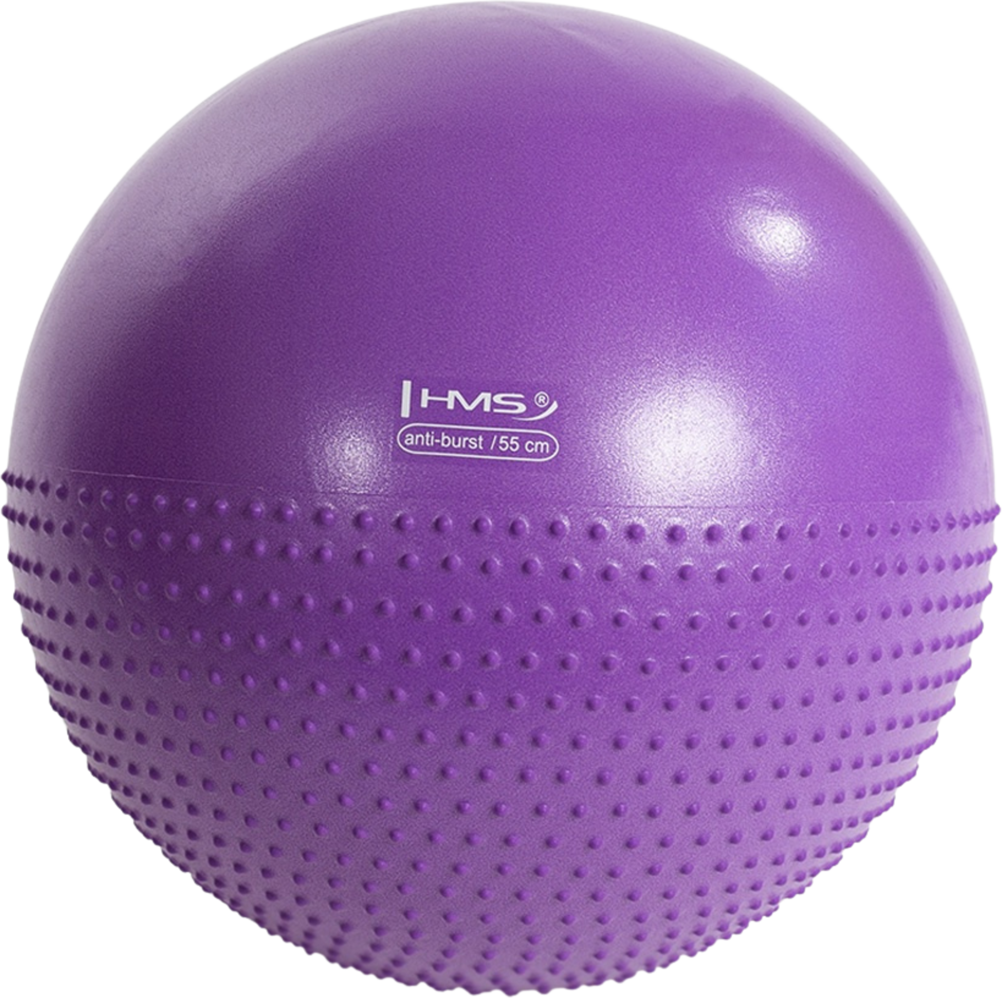 NORTHIX, 55cm Violet Gym Ball For Exercise  Fitness