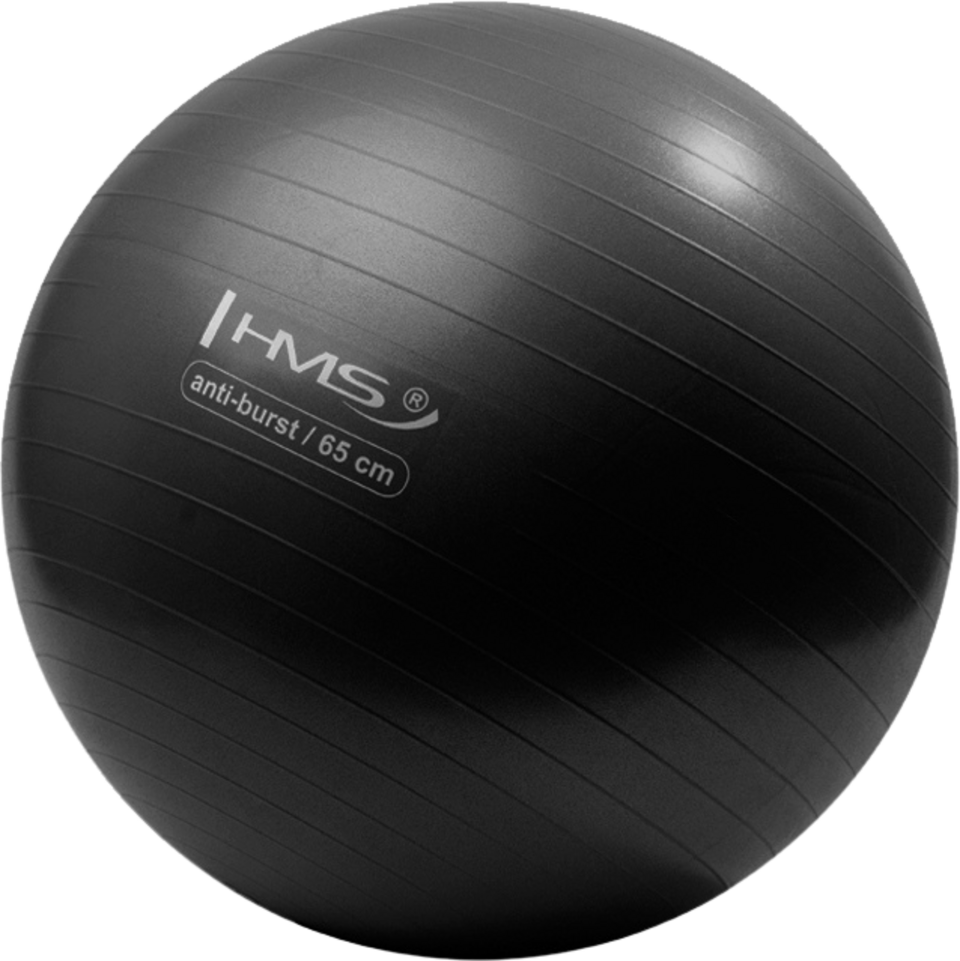 NORTHIX, 65cm Black Gym Ball &ndash; Anti-burst, Non-slip