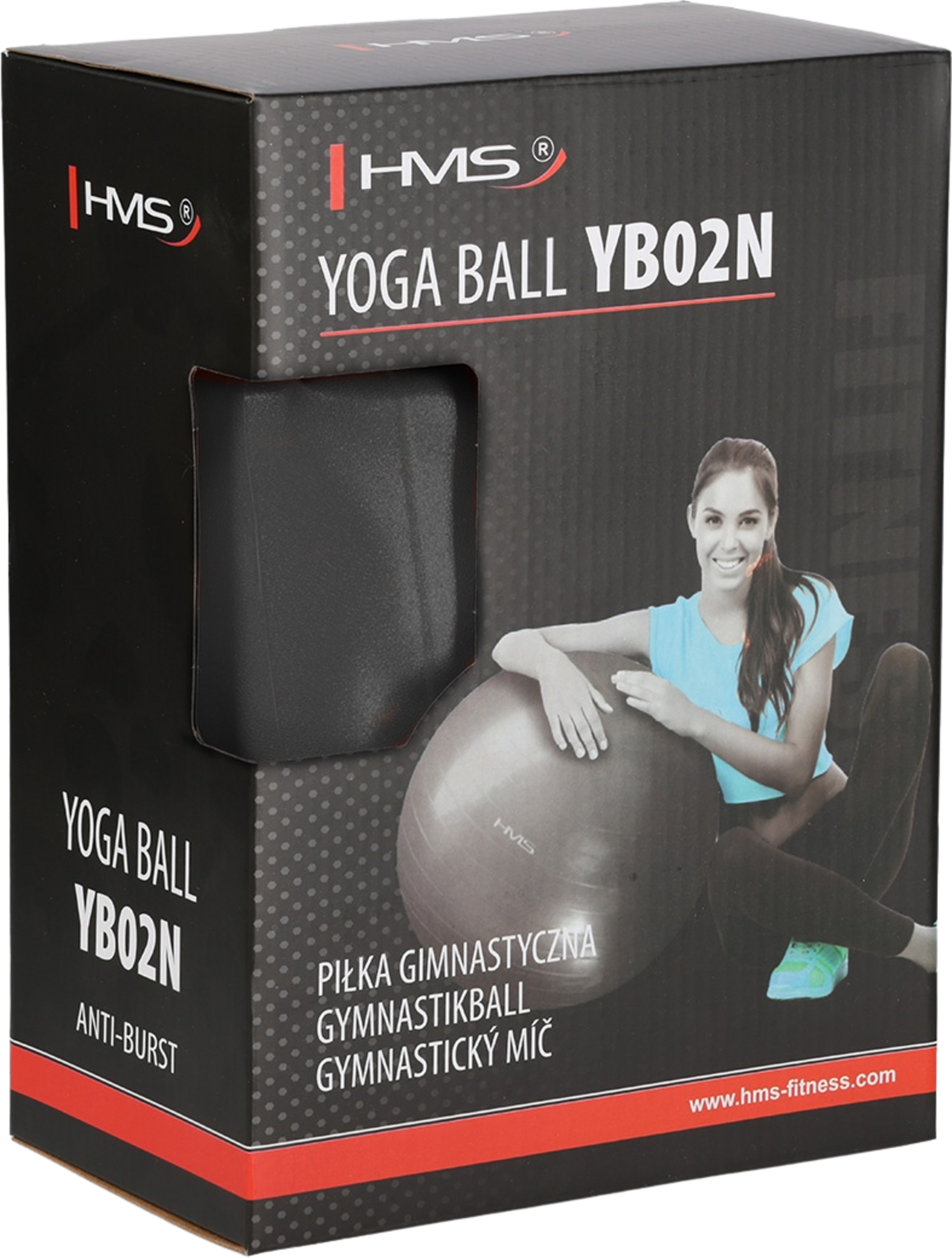 NORTHIX, 65cm Black Gym Ball &ndash; Anti-burst, Non-slip
