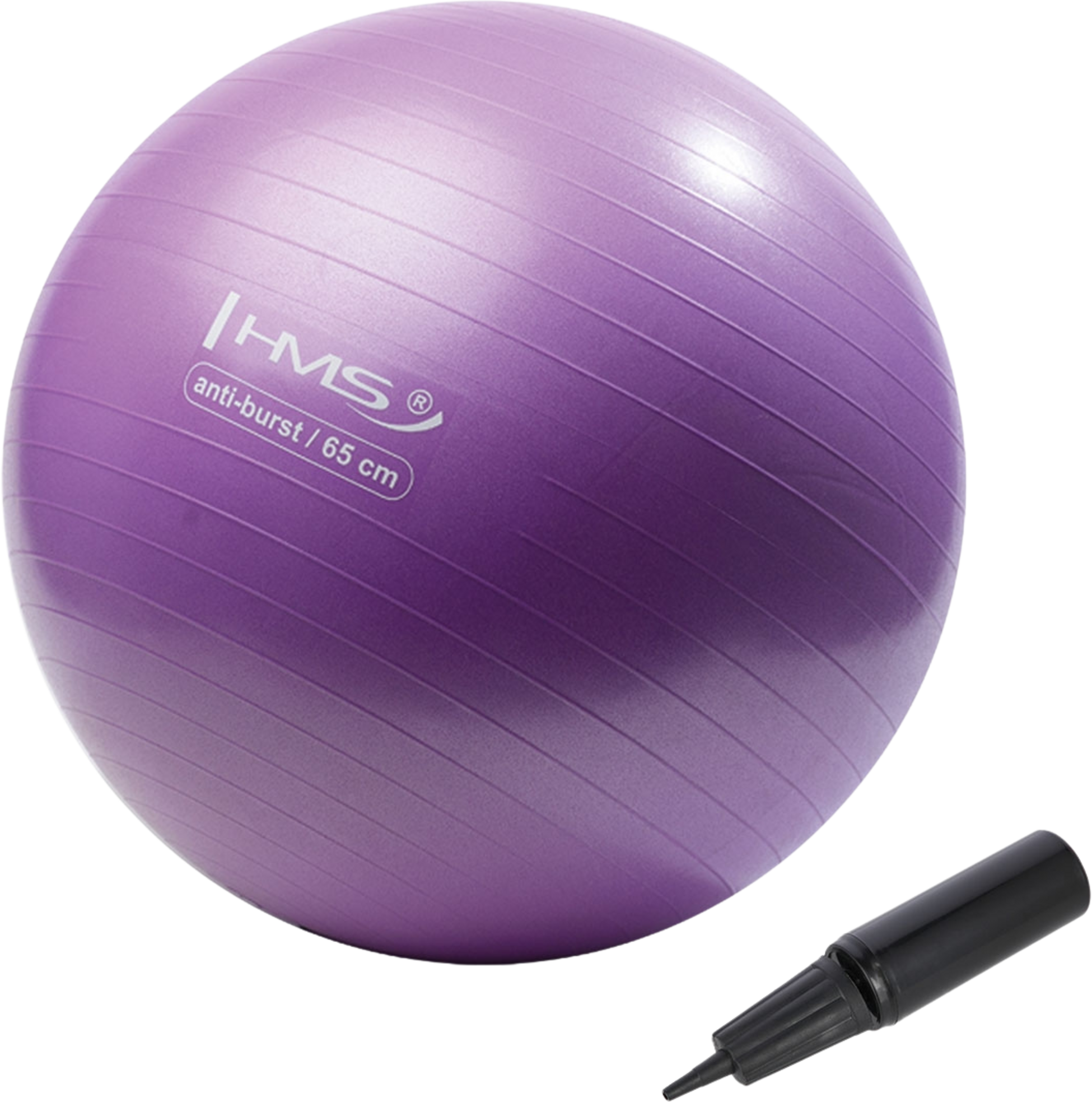 NORTHIX, 65cm Purple Gym Ball &ndash; Anti-burst, Non-slip