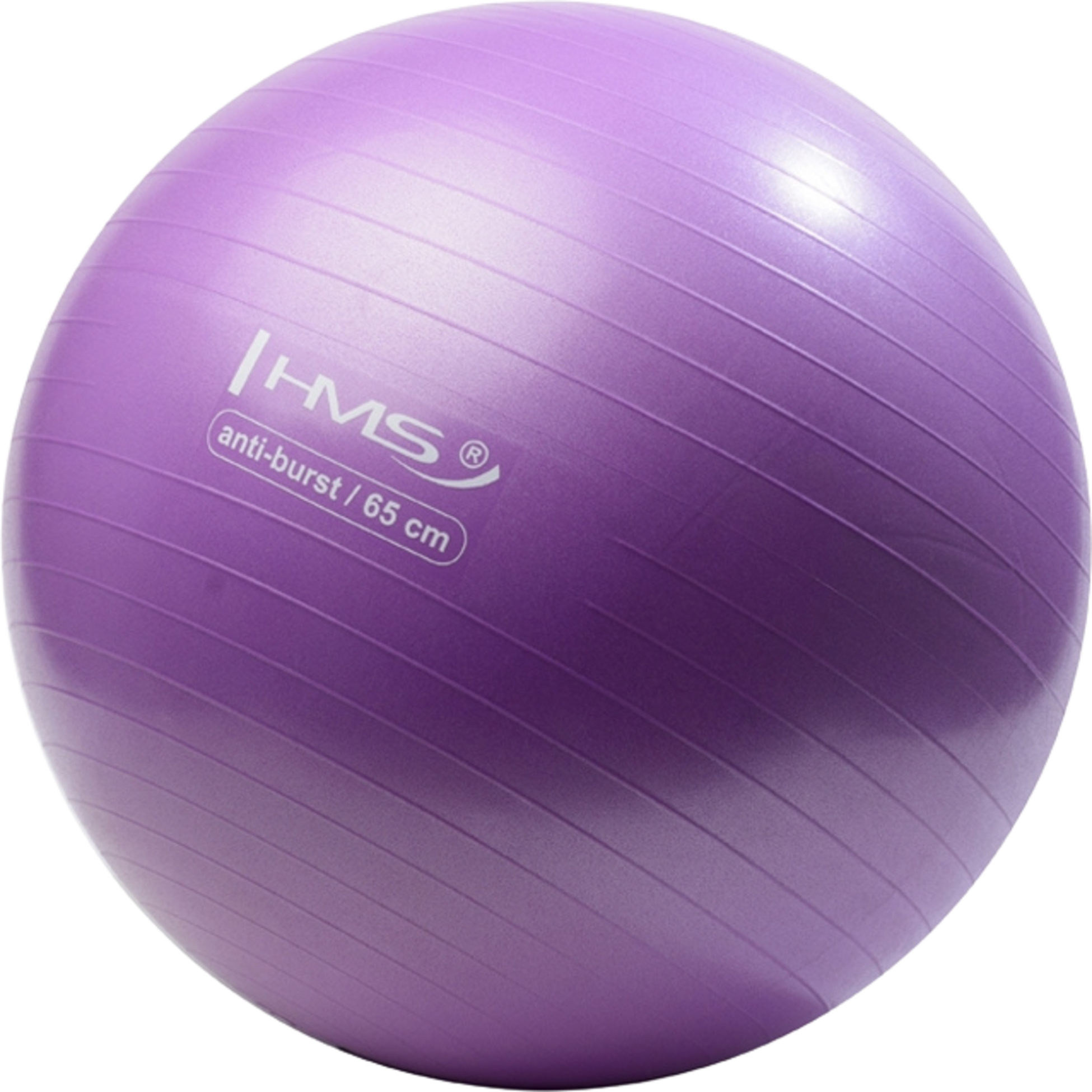 NORTHIX, 65cm Purple Gym Ball &ndash; Anti-burst, Non-slip