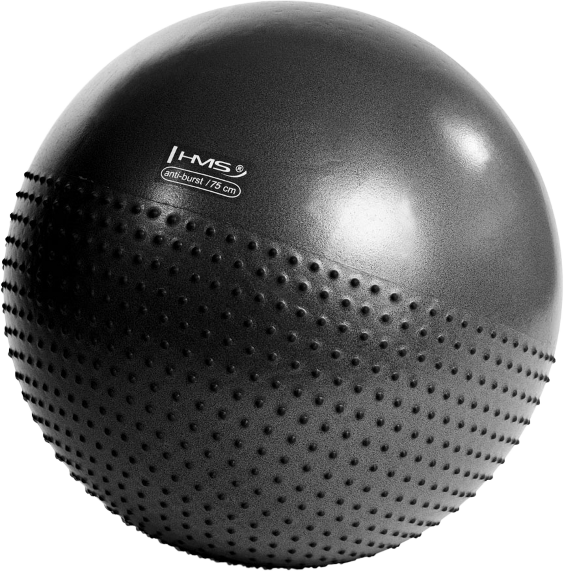 NORTHIX, 75cm Black Gym Ball &ndash; Anti-burst, Non-slip