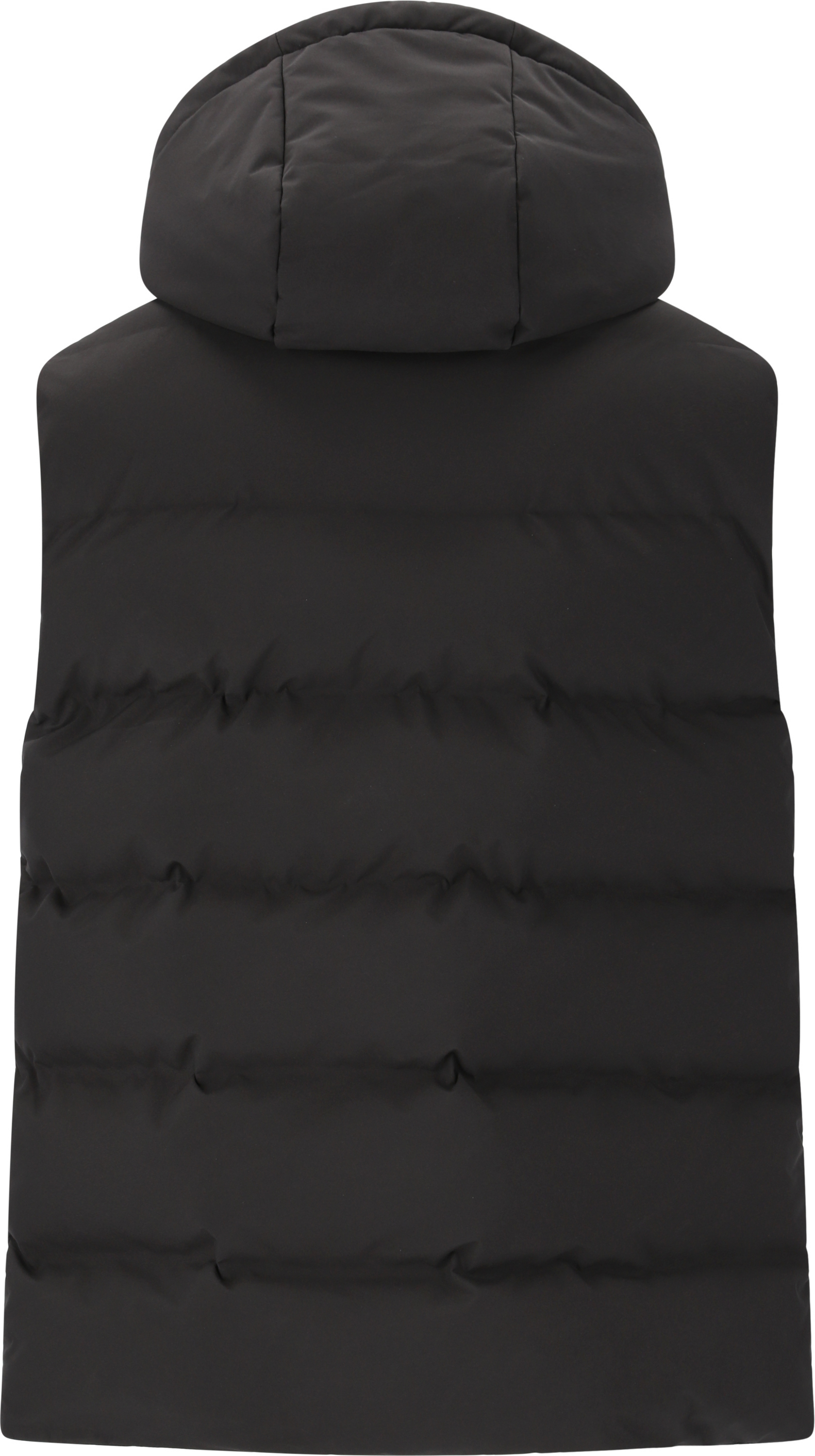 WHISTLER, Acid Vest
