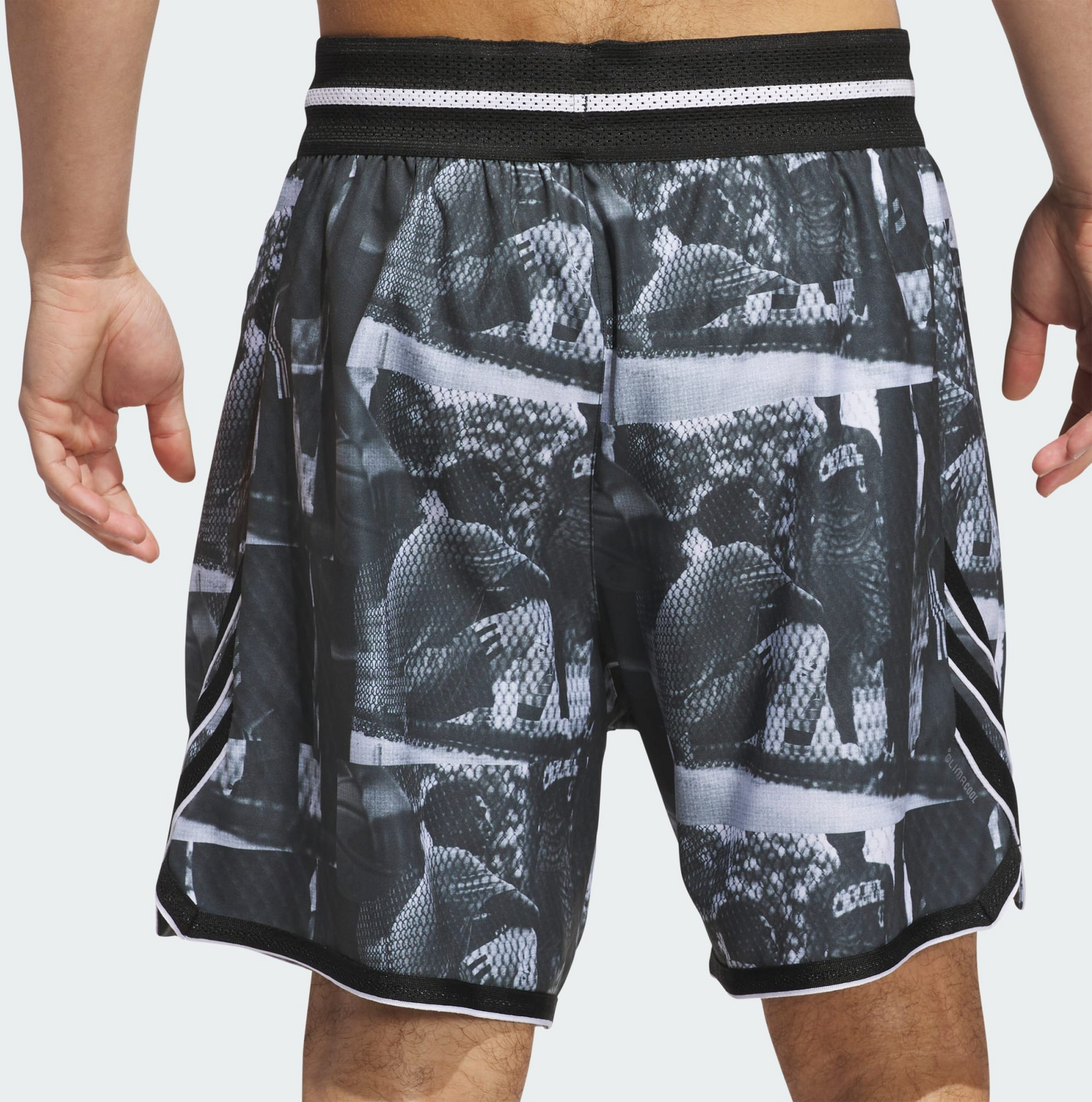 ADIDAS, Adidas Adidas Crazy Lite Aop Shorts
