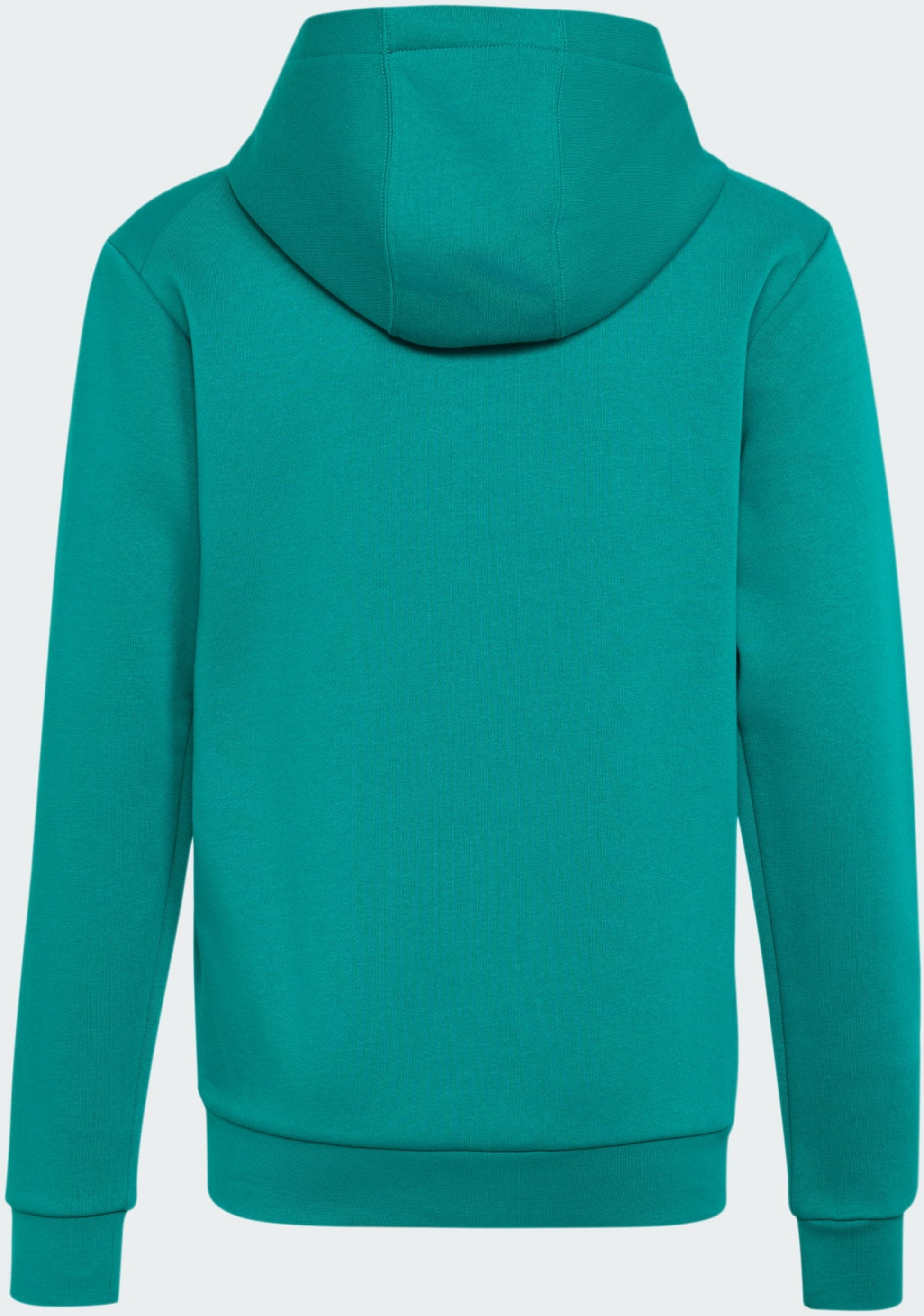 ADIDAS, Adidas Adidas Minecraft Terrex Huvtr&ouml;ja