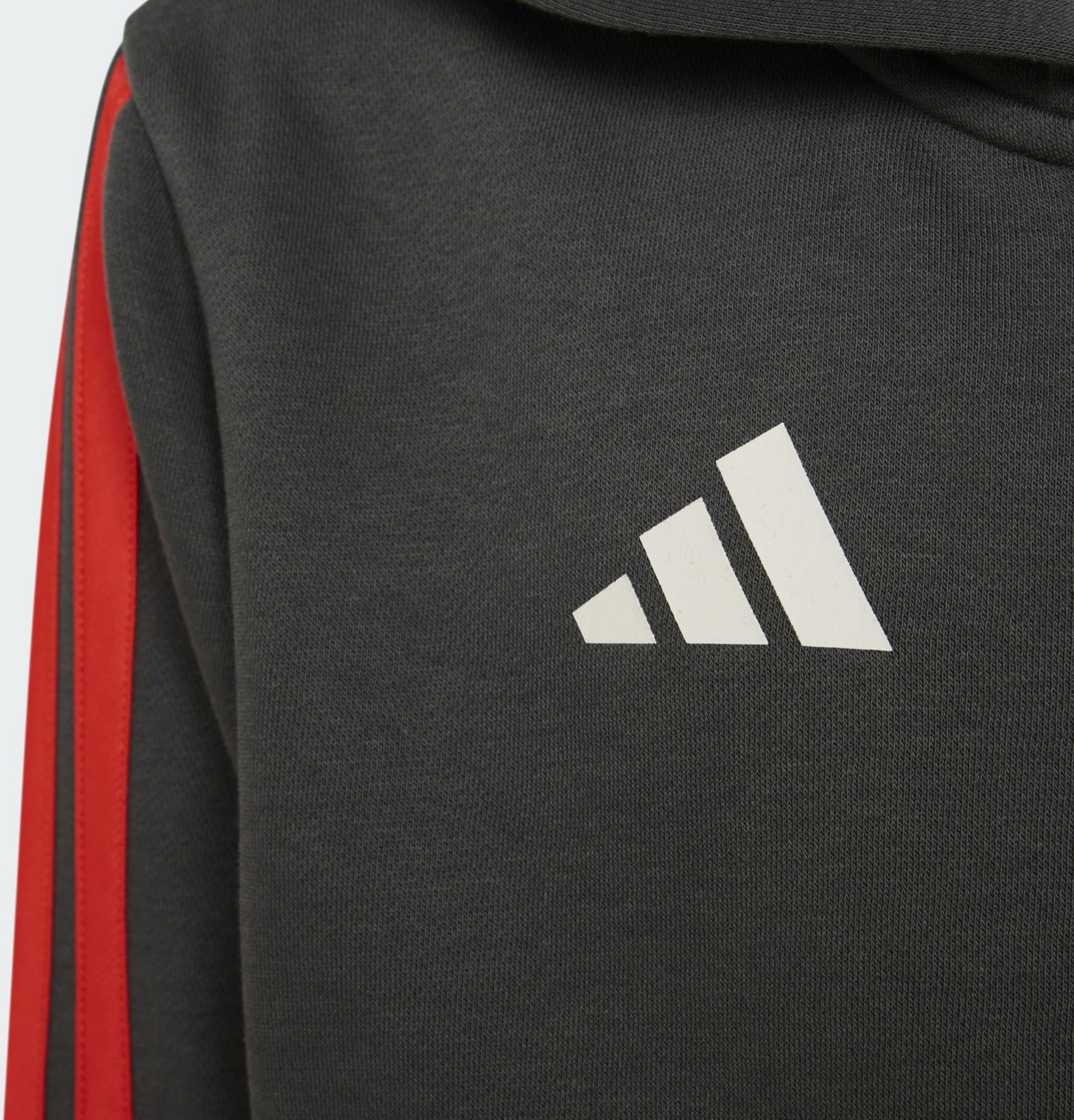 ADIDAS, Adidas Audi Revolut F1 Team Dna Hoodie Med Hel Dragkedja