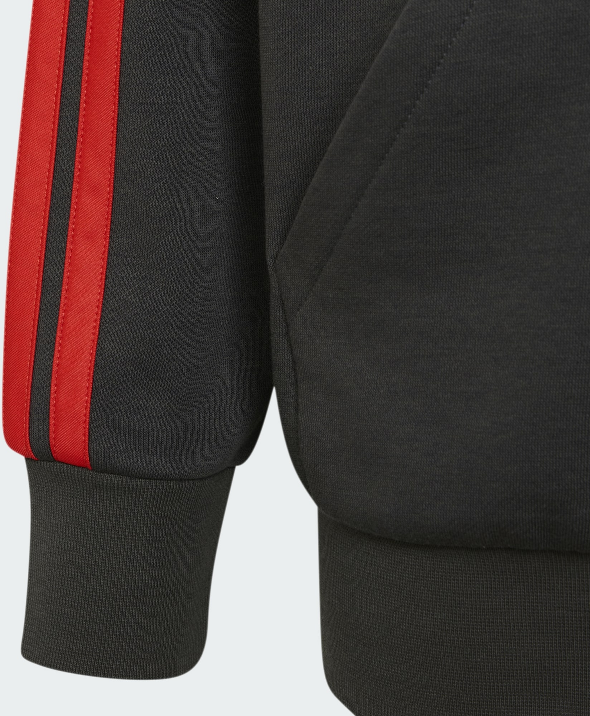 ADIDAS, Adidas Audi Revolut F1 Team Dna Hoodie Med Hel Dragkedja