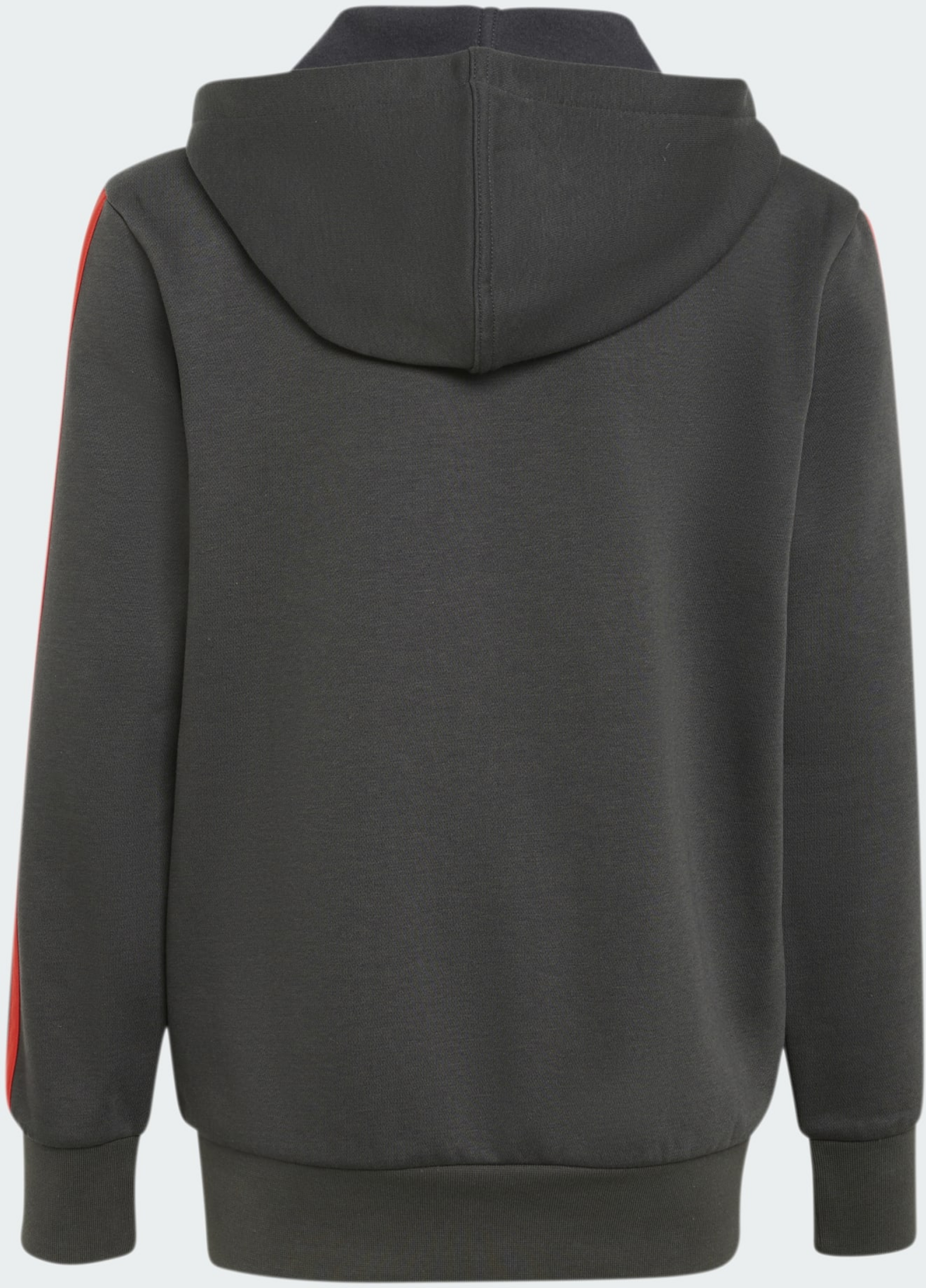 ADIDAS, Adidas Audi Revolut F1 Team Dna Hoodie Med Hel Dragkedja