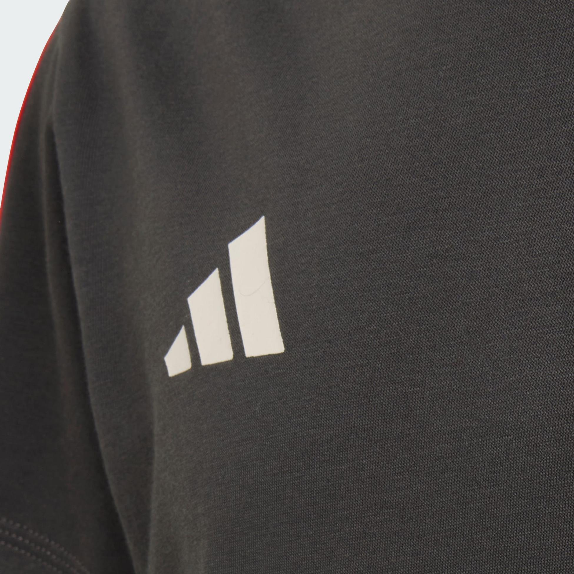 ADIDAS, Adidas Audi Revolut F1 Team Dna T-shirt