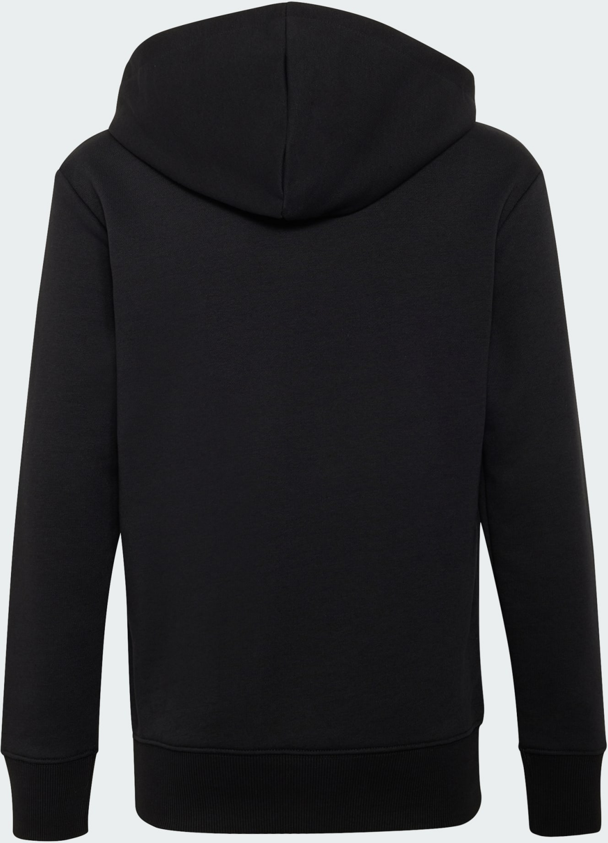 ADIDAS, Adidas Audi Revolut F1 Team Gabriel Bortoleto Graphic Iii Huvtr&ouml;ja