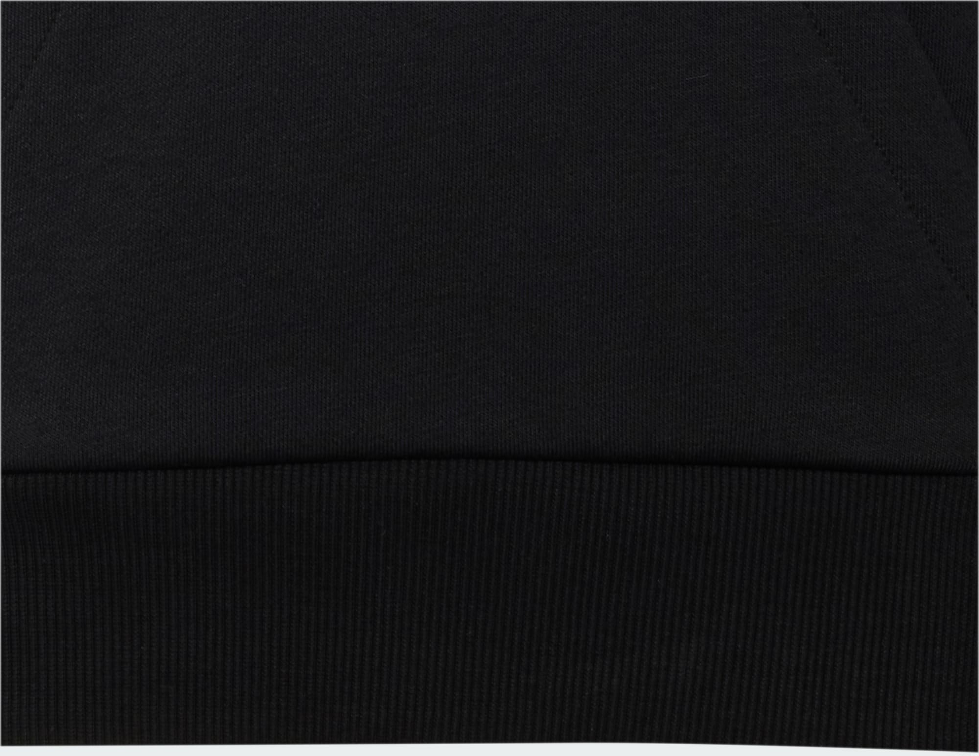 ADIDAS, Adidas Audi Revolut F1 Team Nico Hulkenberg Graphic Ii Hoodie