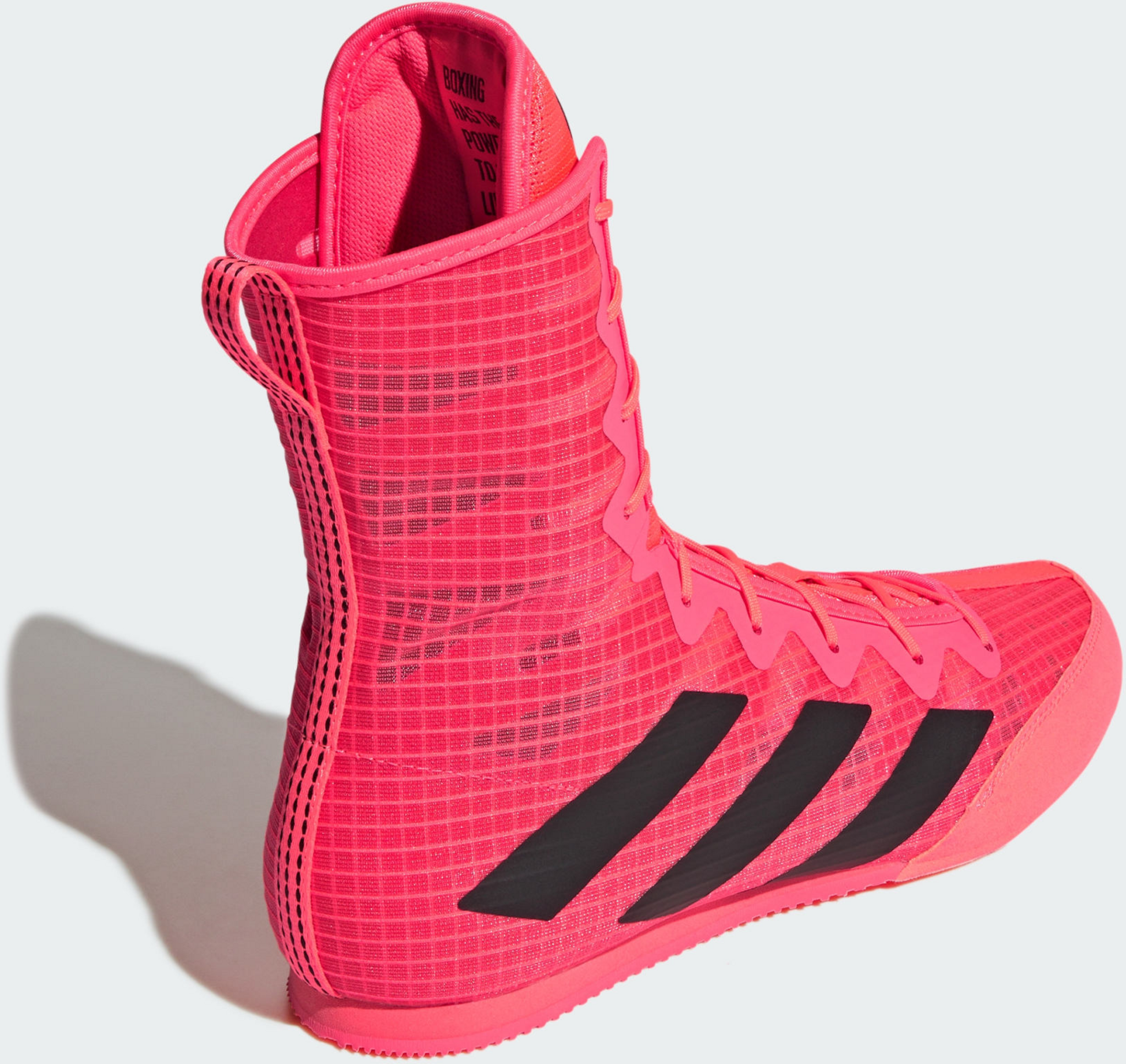ADIDAS, Adidas Box Hog 4 Shoes