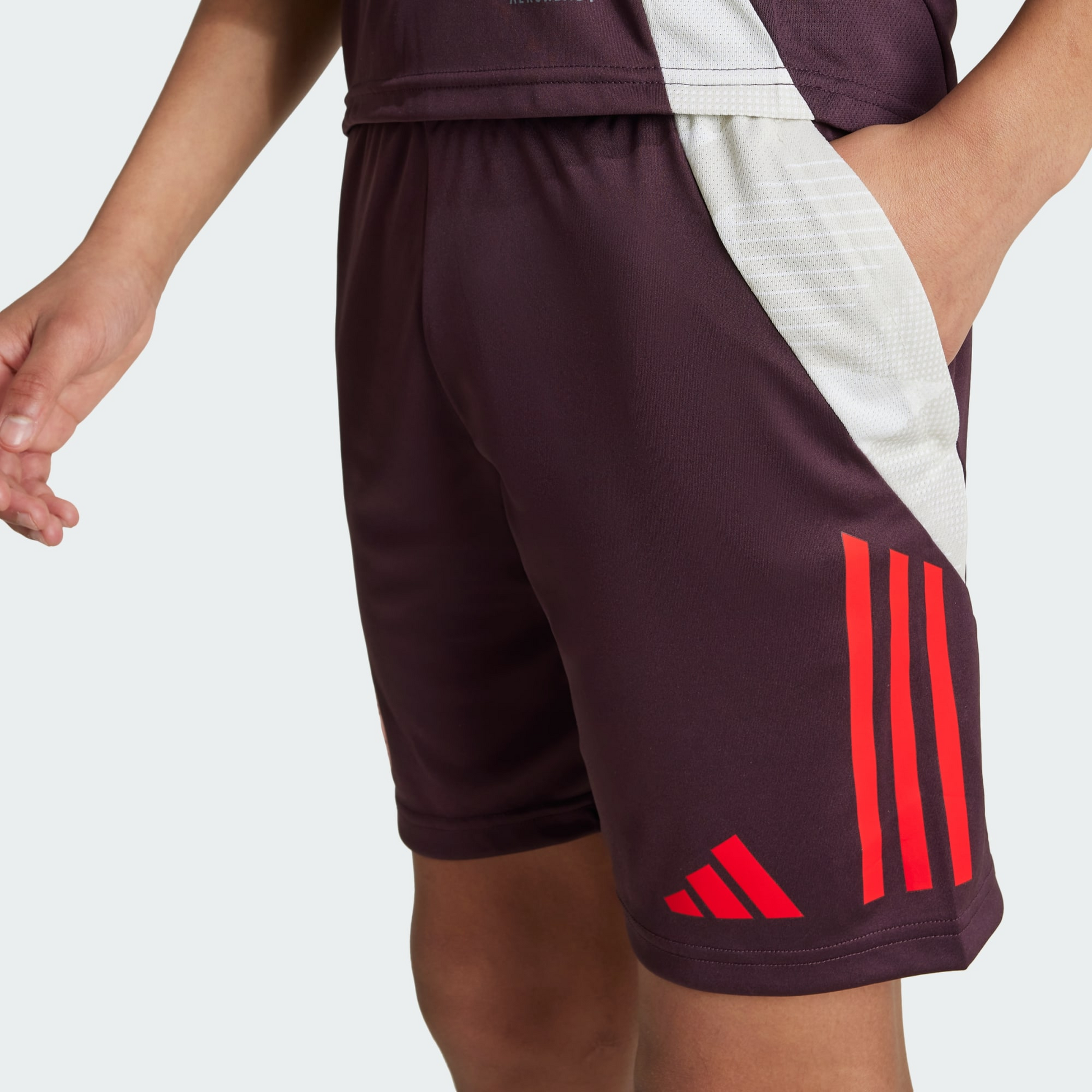 ADIDAS, Adidas Fc Bayern Tiro 24 Träningsshorts