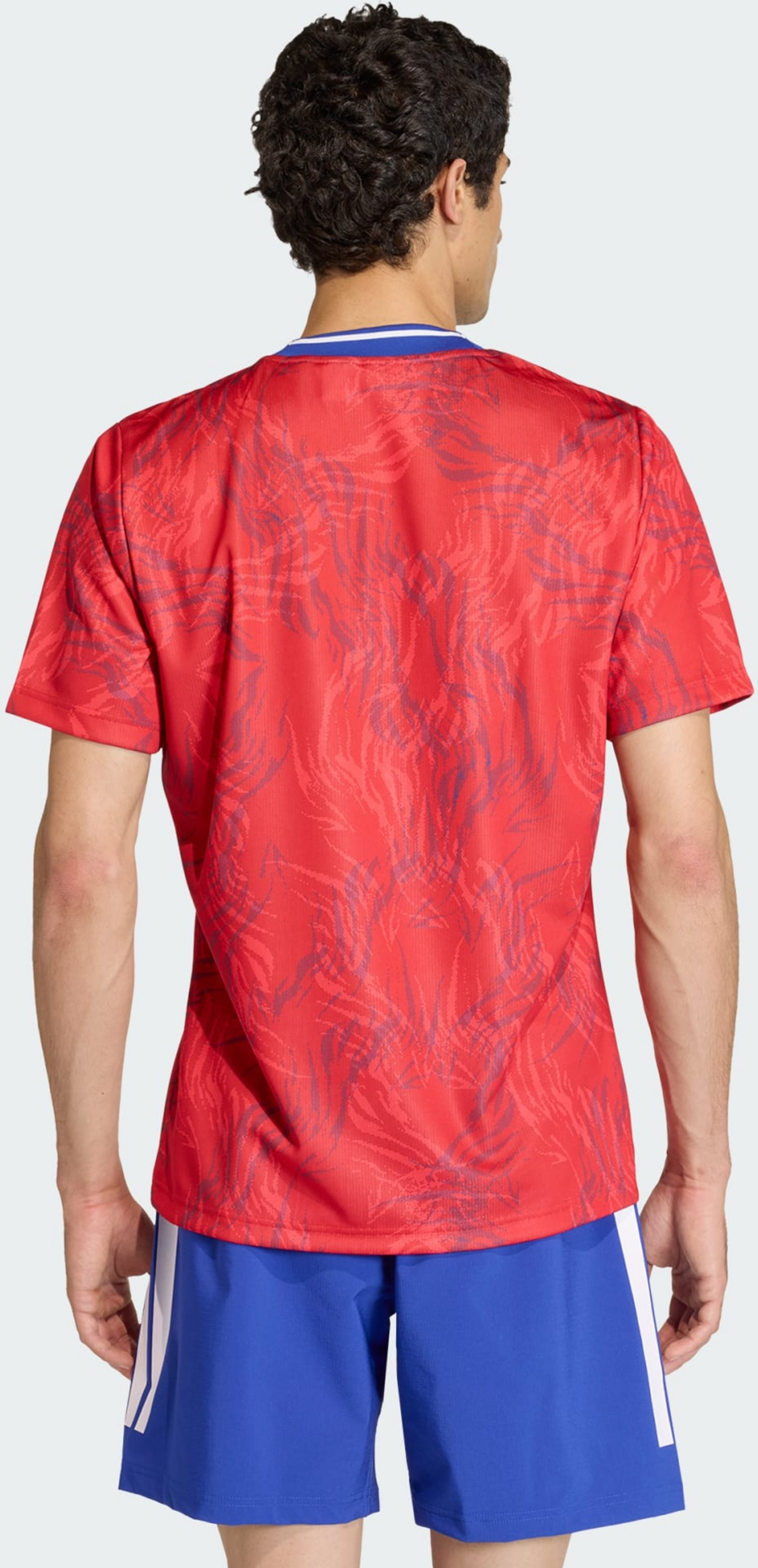 ADIDAS, Adidas France Rugby Prematch Jersey