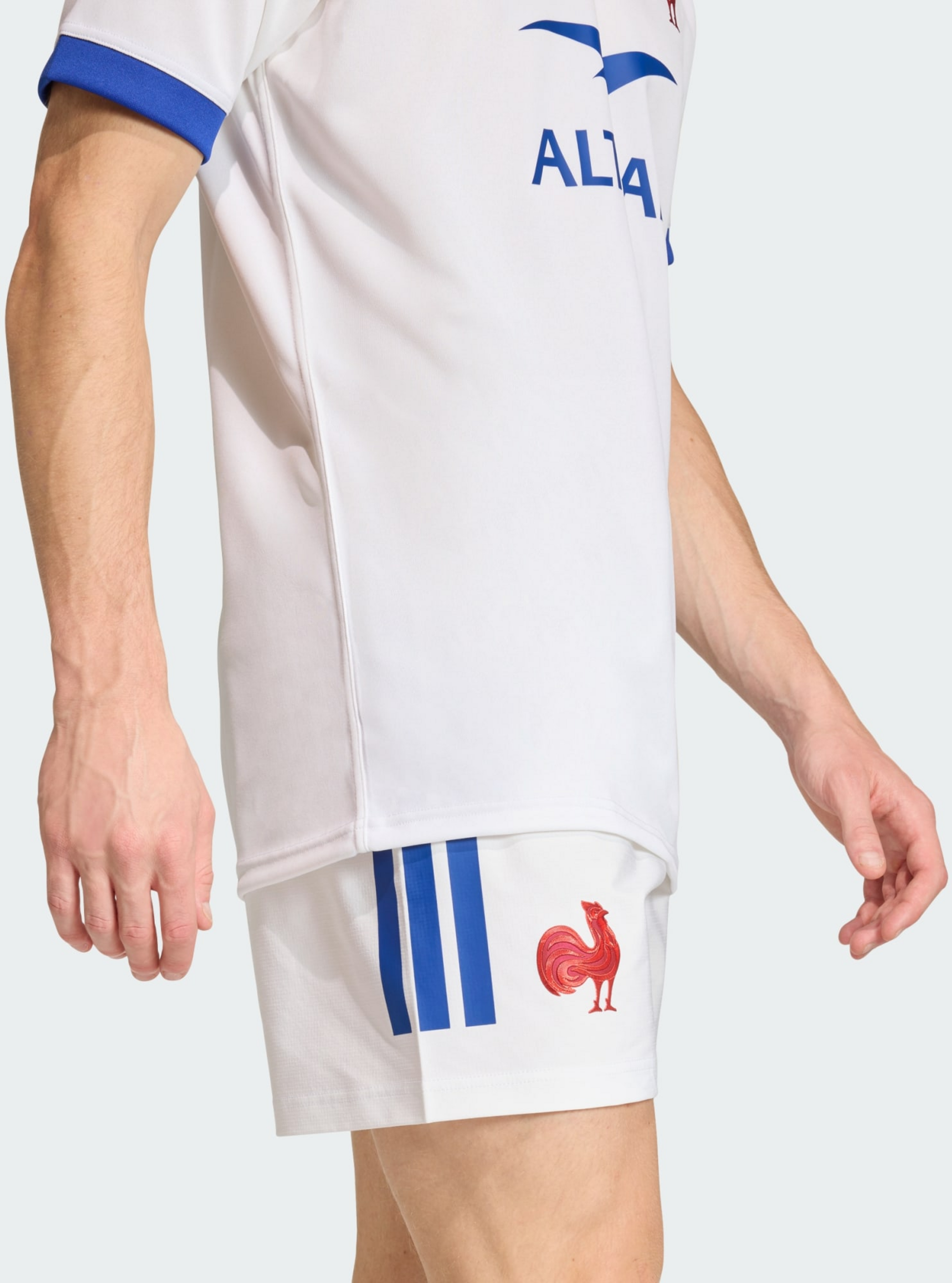 ADIDAS, Adidas France Rugbyshorts