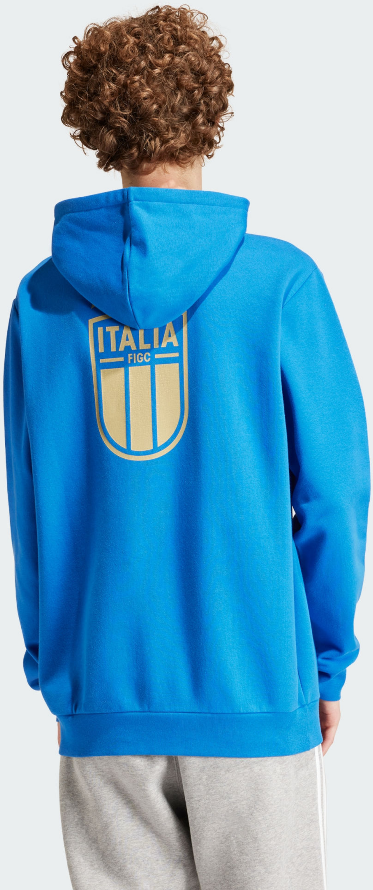 ADIDAS, Adidas Italy Dna Hoodie