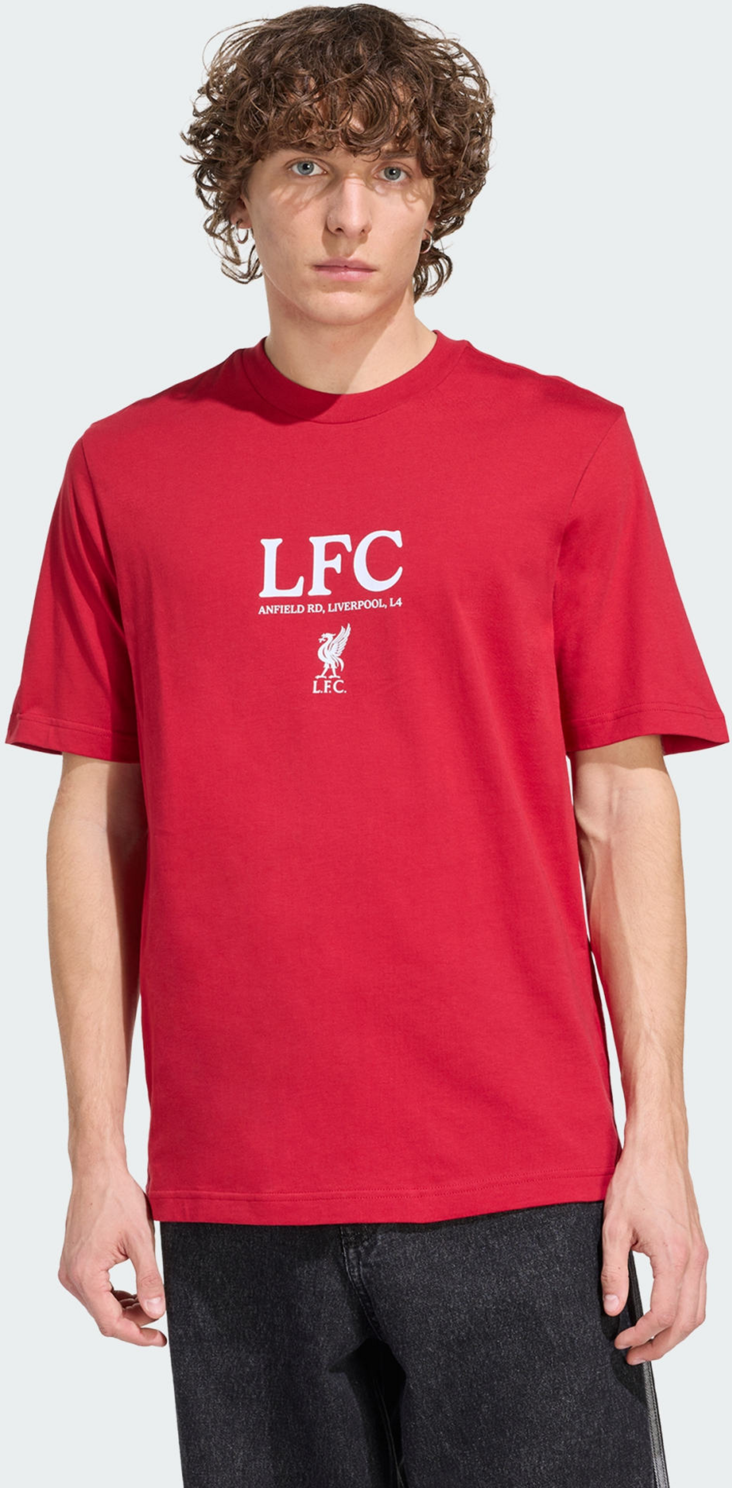ADIDAS, Adidas Liverpool Fc Seasonal Graphic T-shirt