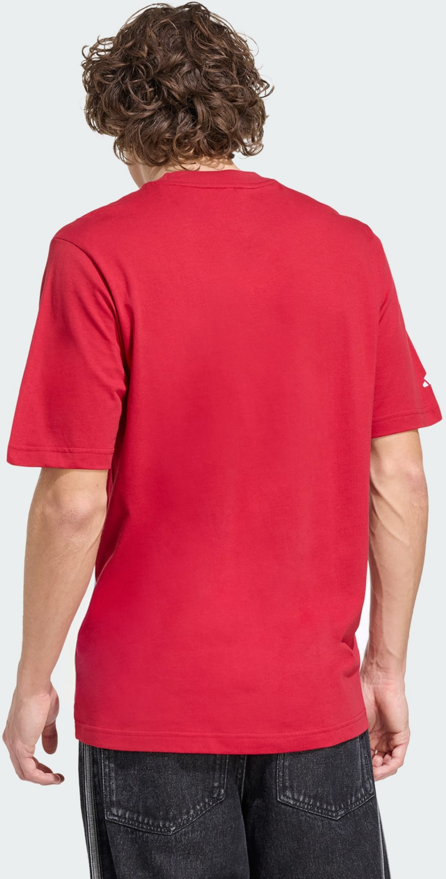 ADIDAS, Adidas Liverpool Fc Seasonal Graphic T-shirt
