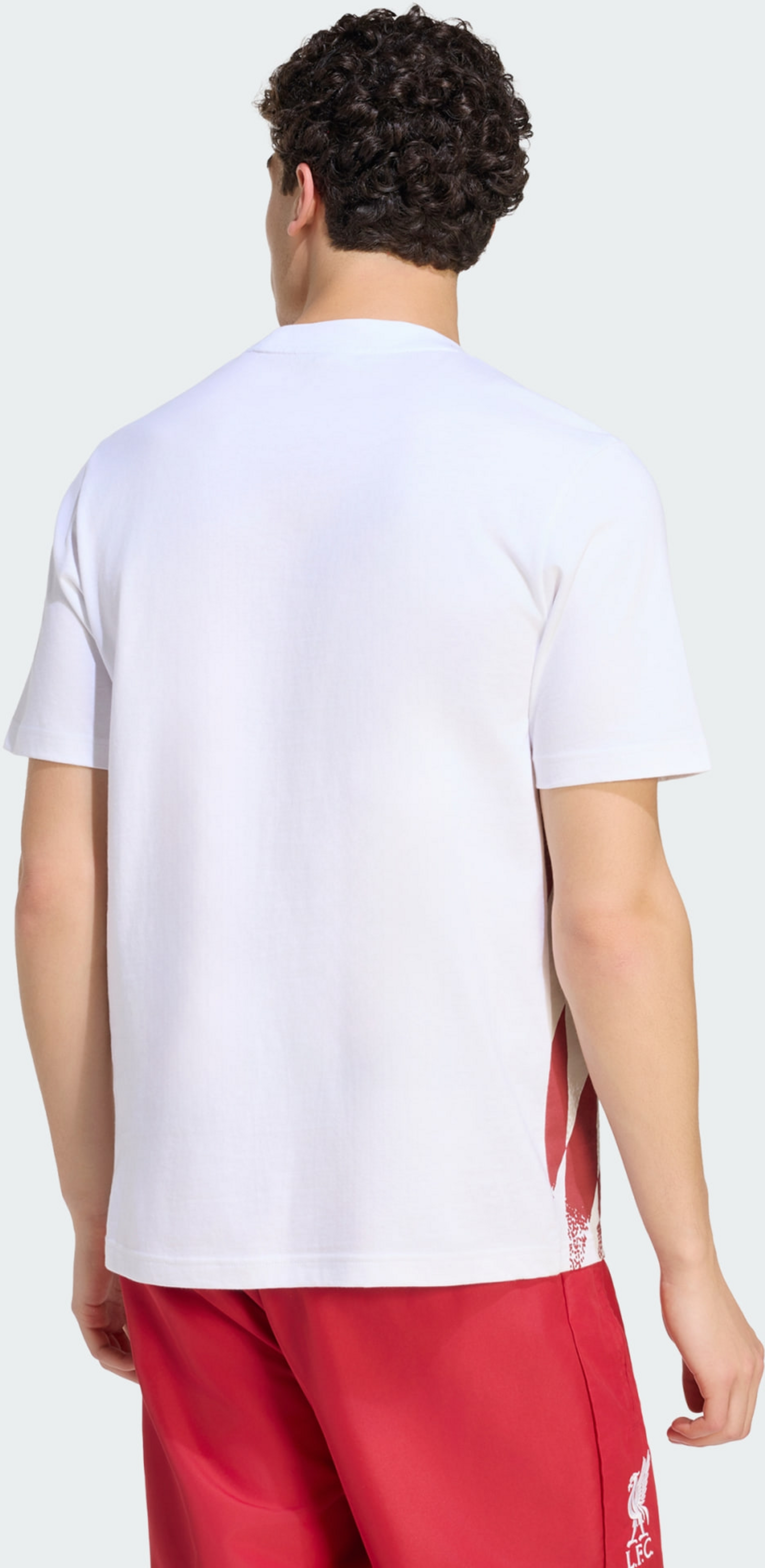 ADIDAS, Adidas Liverpool Fc Stadium Graphic T-shirt