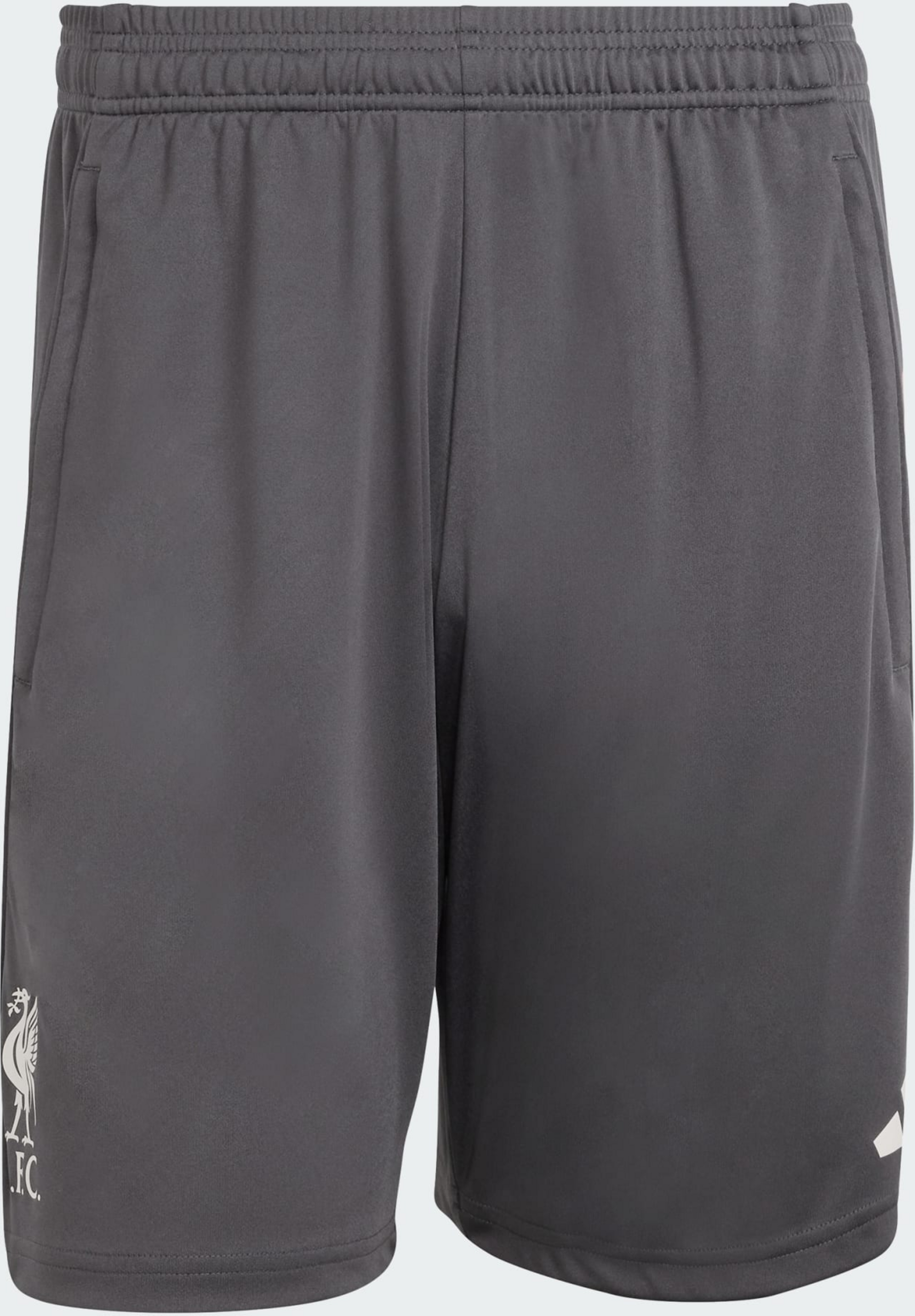 ADIDAS, Adidas Liverpool Fc Tiro 25 Competition Tr&auml;ningsshorts