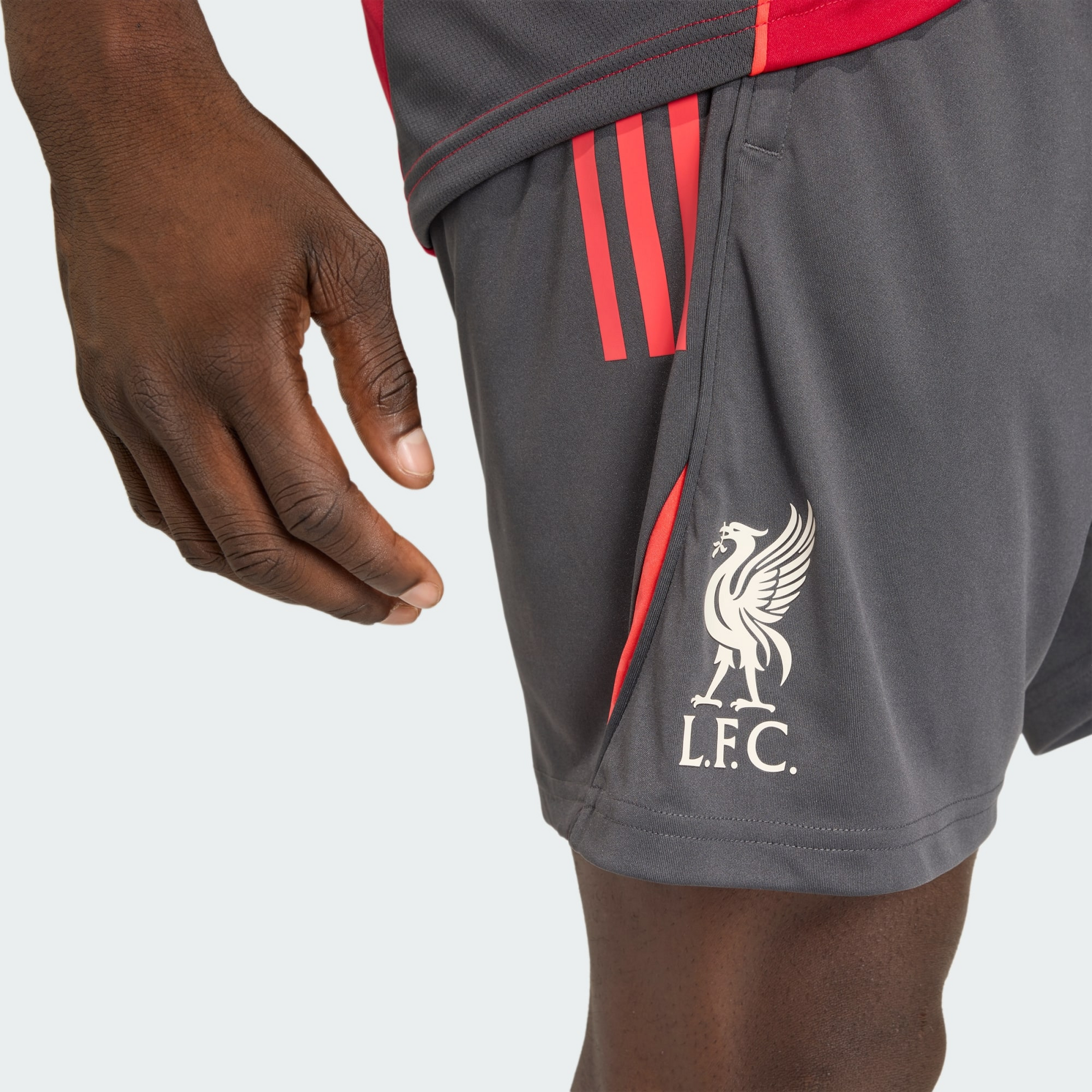ADIDAS, Adidas Liverpool Fc Tiro 25 Competition Tr&auml;ningsshorts