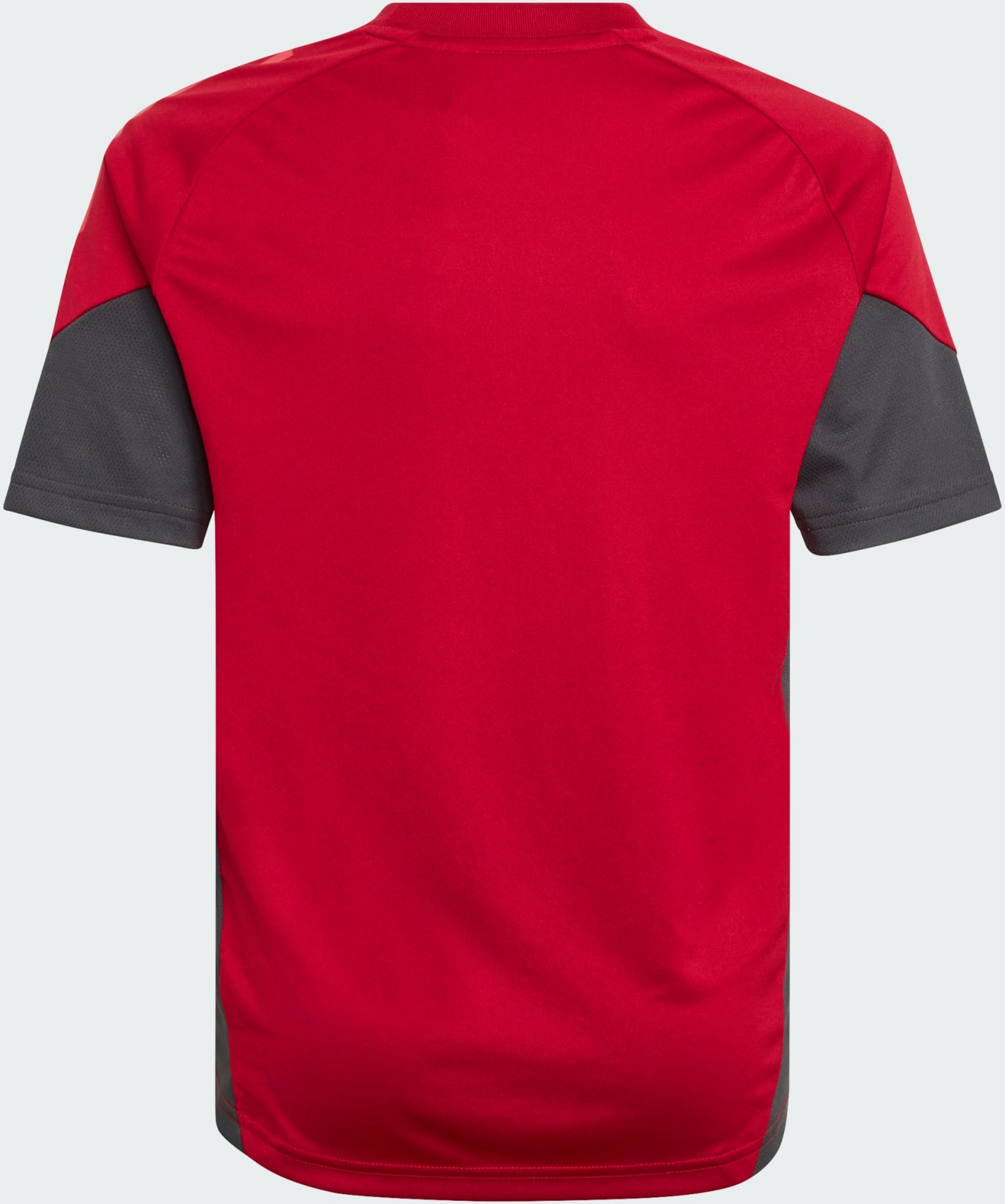 ADIDAS, Adidas Liverpool Fc Tiro 25 Competition Tr&auml;ningstr&ouml;ja