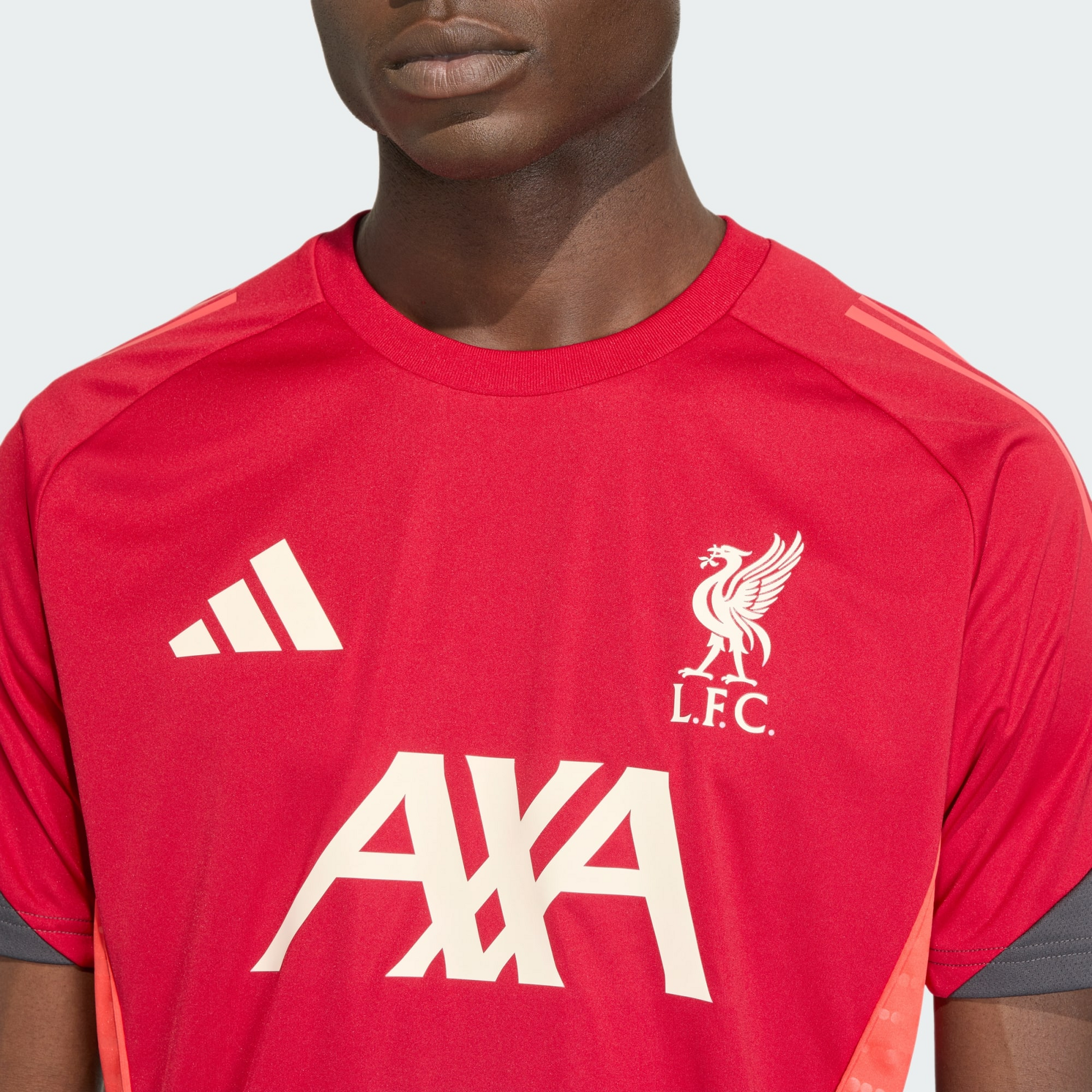 ADIDAS, Adidas Liverpool Fc Tiro 25 Competition Tr&auml;ningstr&ouml;ja