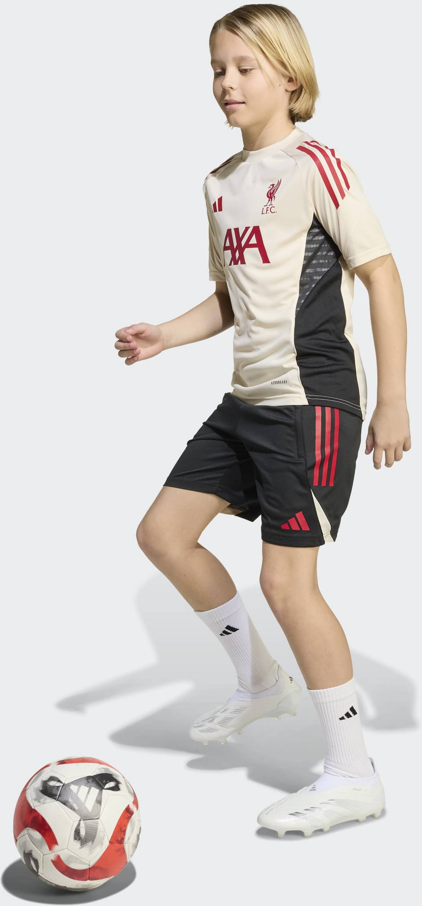 ADIDAS, Adidas Liverpool Fc Tiro 25 Competition Tr&auml;ningstr&ouml;ja