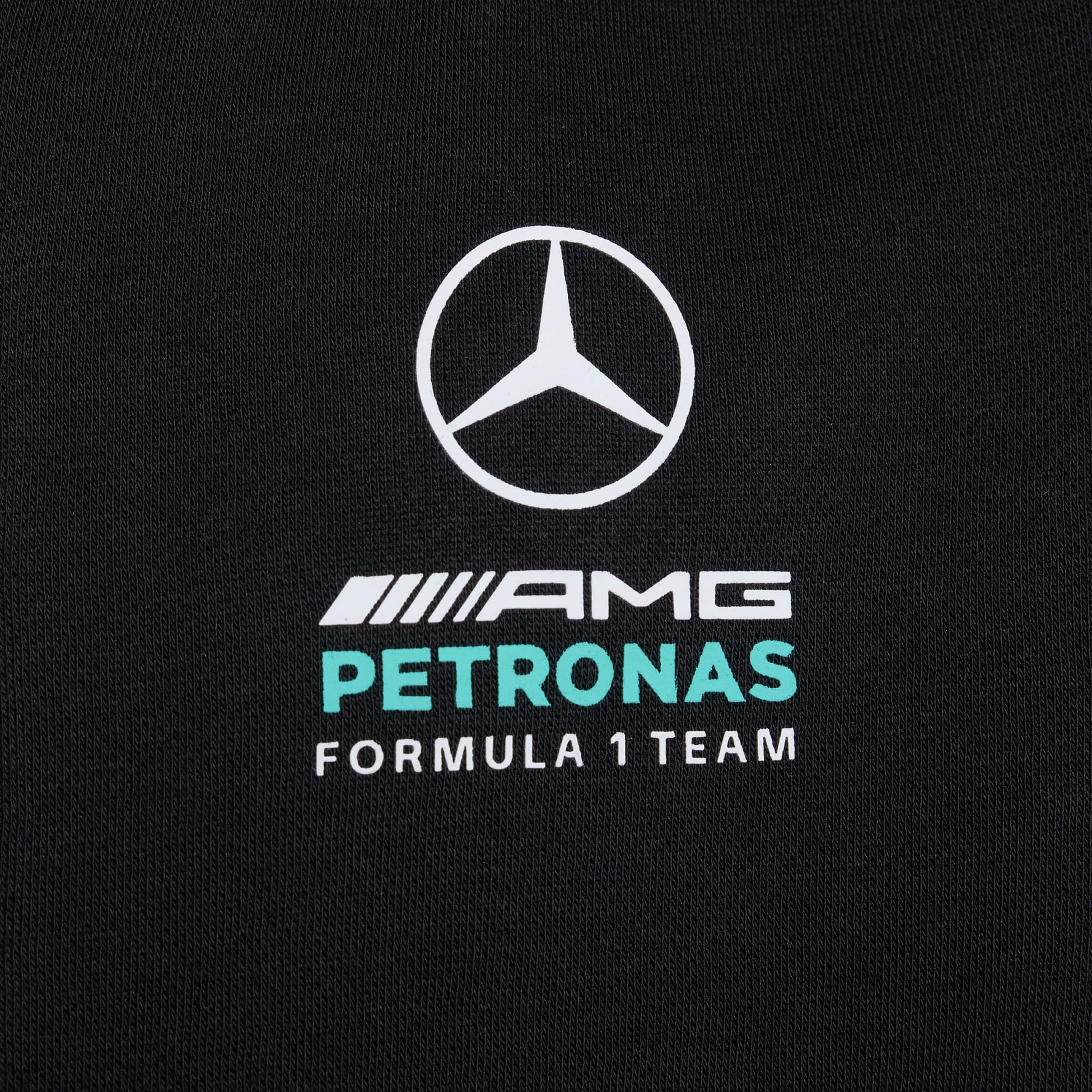 ADIDAS, Adidas Mercedes - Amg Petronas Formula 1 Team Dna Full Zip Huvtr&ouml;ja