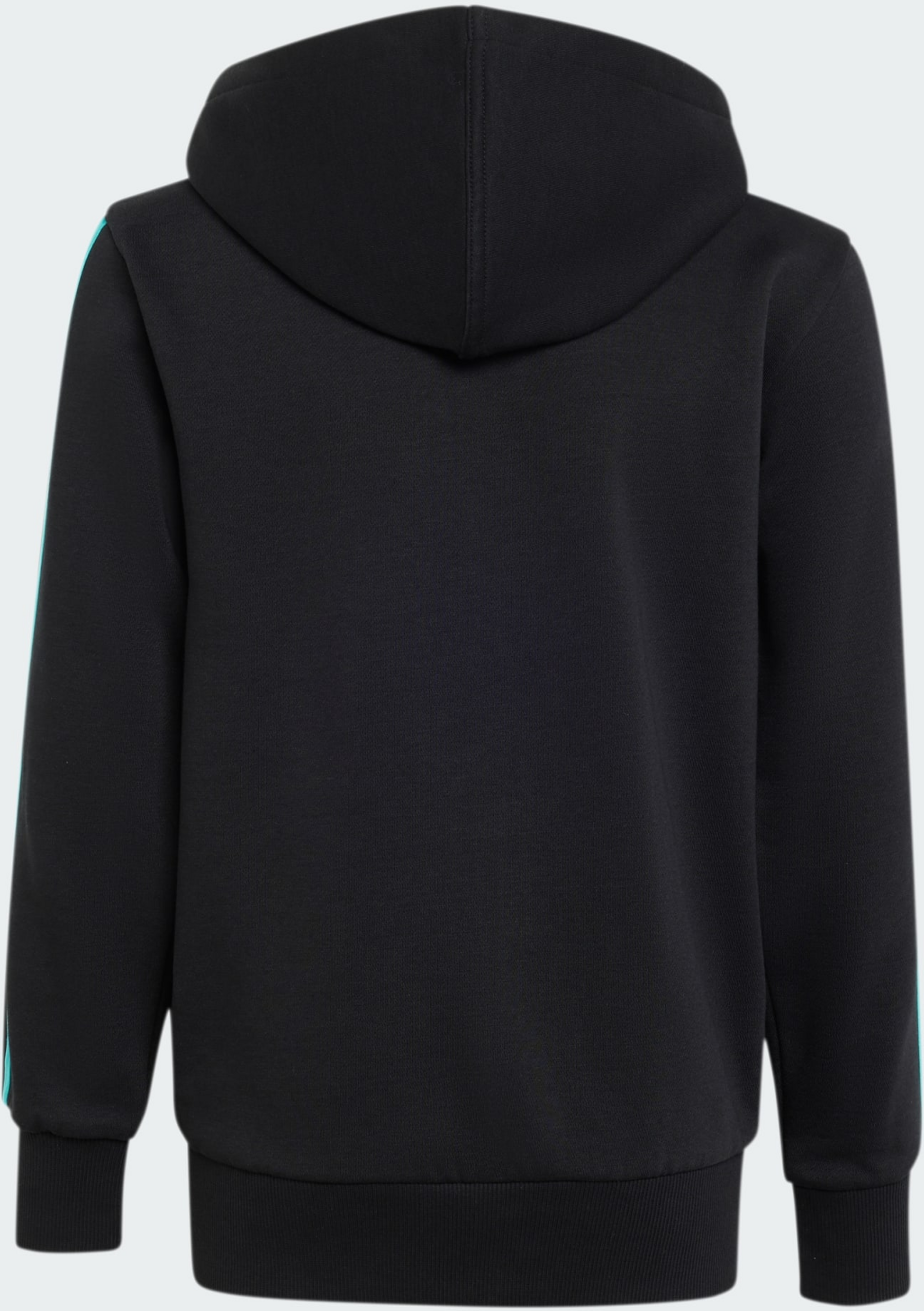 ADIDAS, Adidas Mercedes - Amg Petronas Formula 1 Team Dna Full Zip Huvtr&ouml;ja