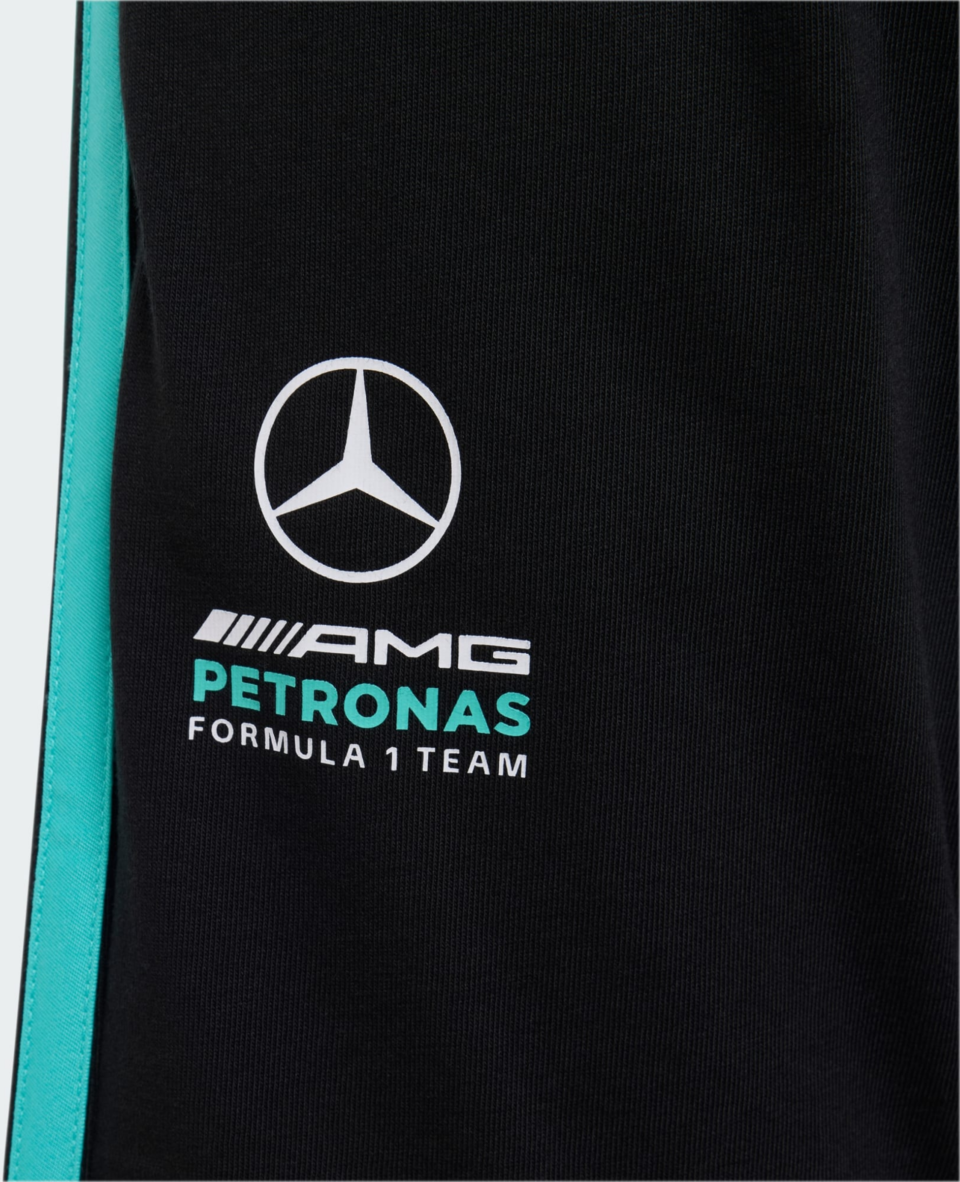 ADIDAS, Adidas Mercedes - Amg Petronas Formula 1 Team Dna Shorts
