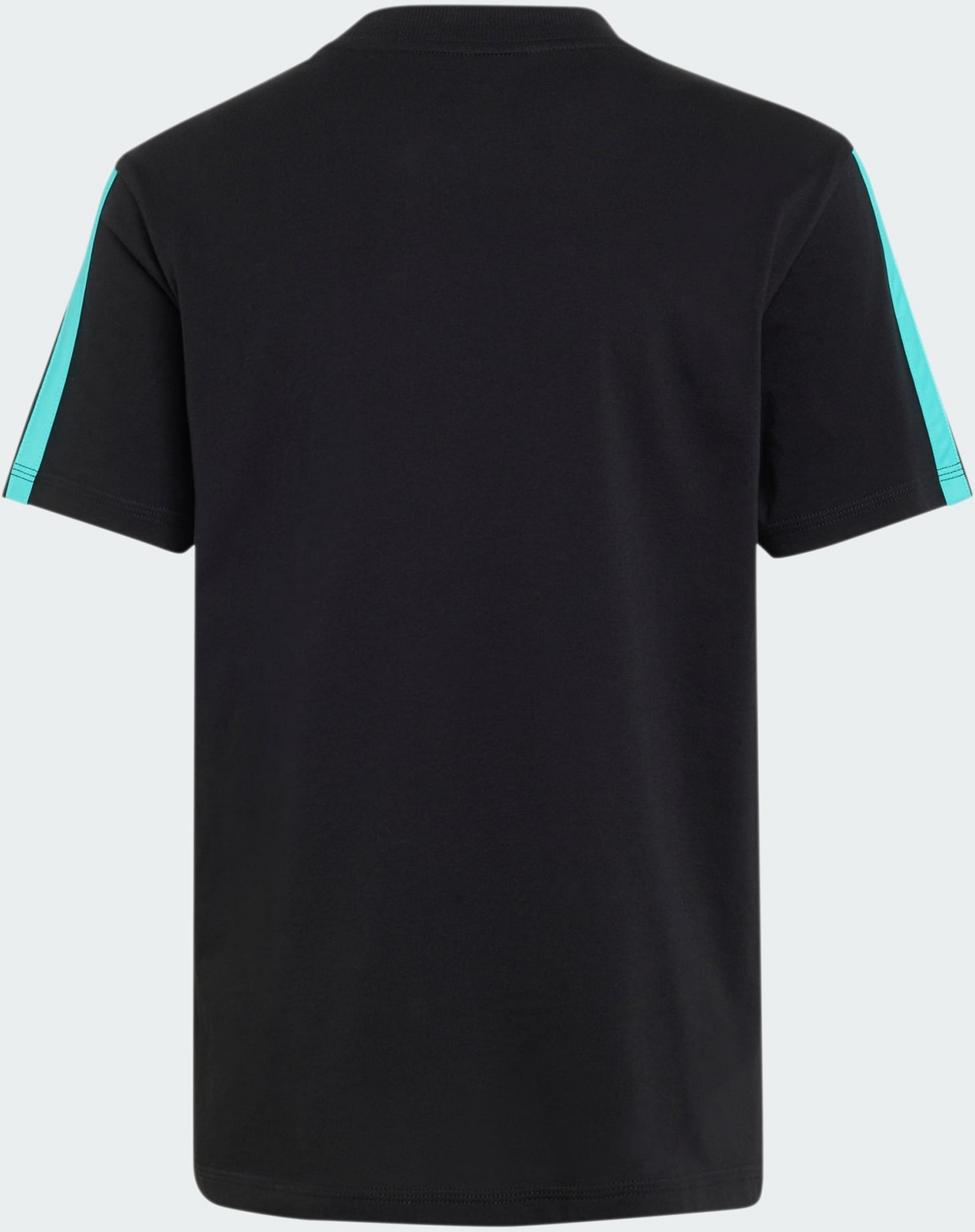 ADIDAS, Adidas Mercedes - Amg Petronas Formula 1 Team Dna T-shirt