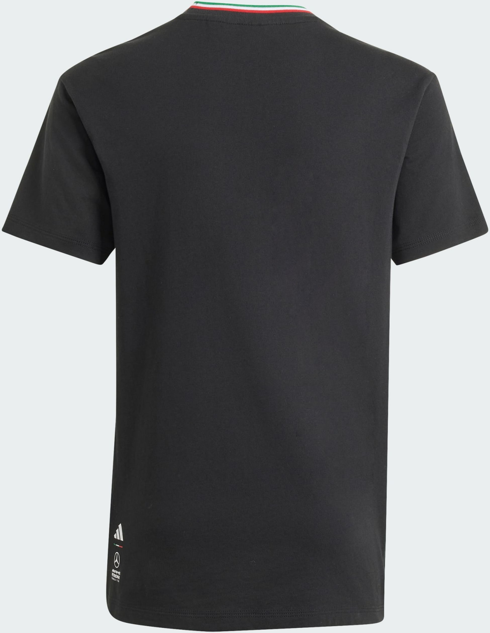 ADIDAS, Adidas Mercedes - Amg Petronas Formula 1 Team Giro Di Mercedes Graphic Tee