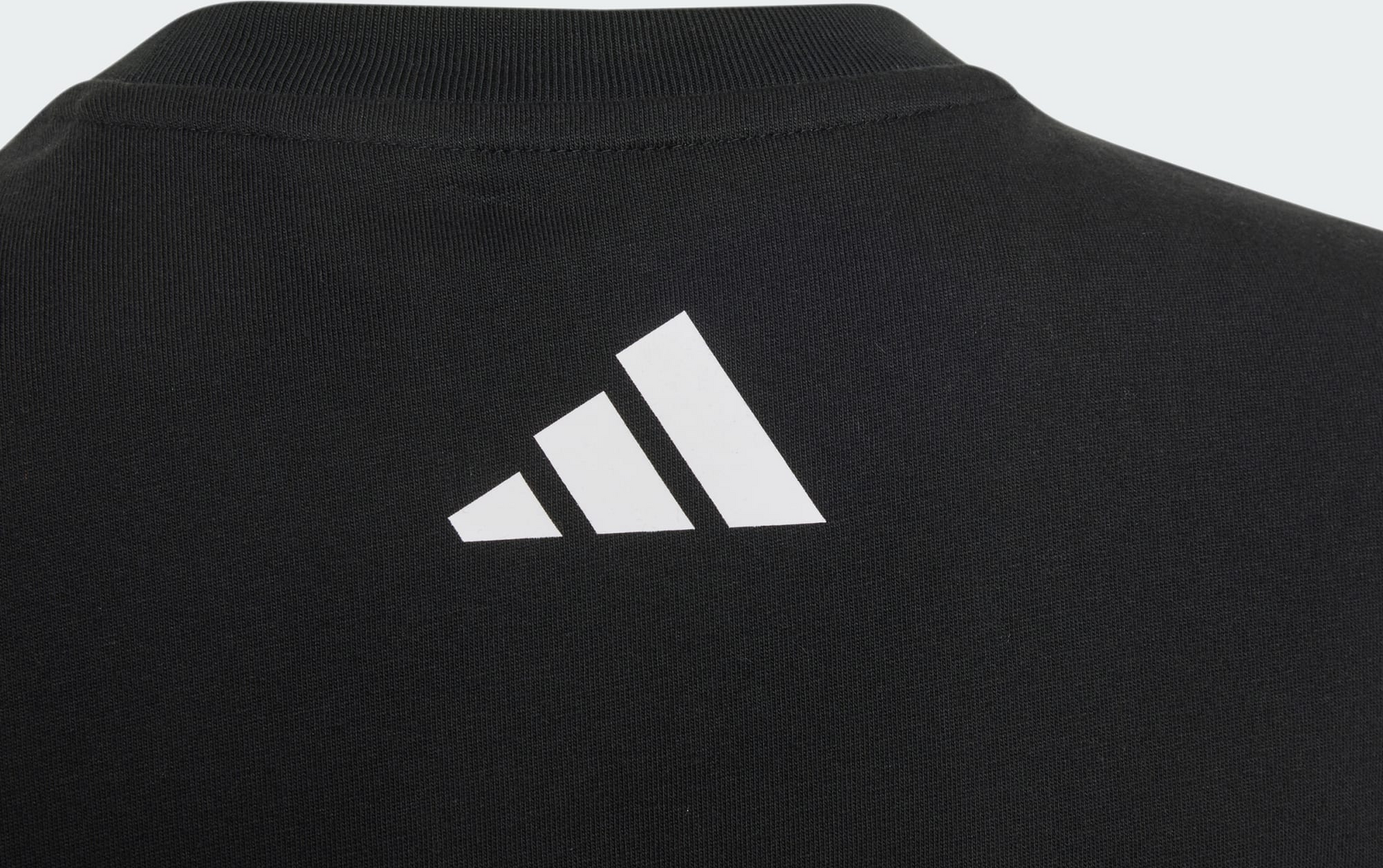 ADIDAS, Adidas Mercedes - Amg Petronas Formula 1 Team Lights On T-shirt