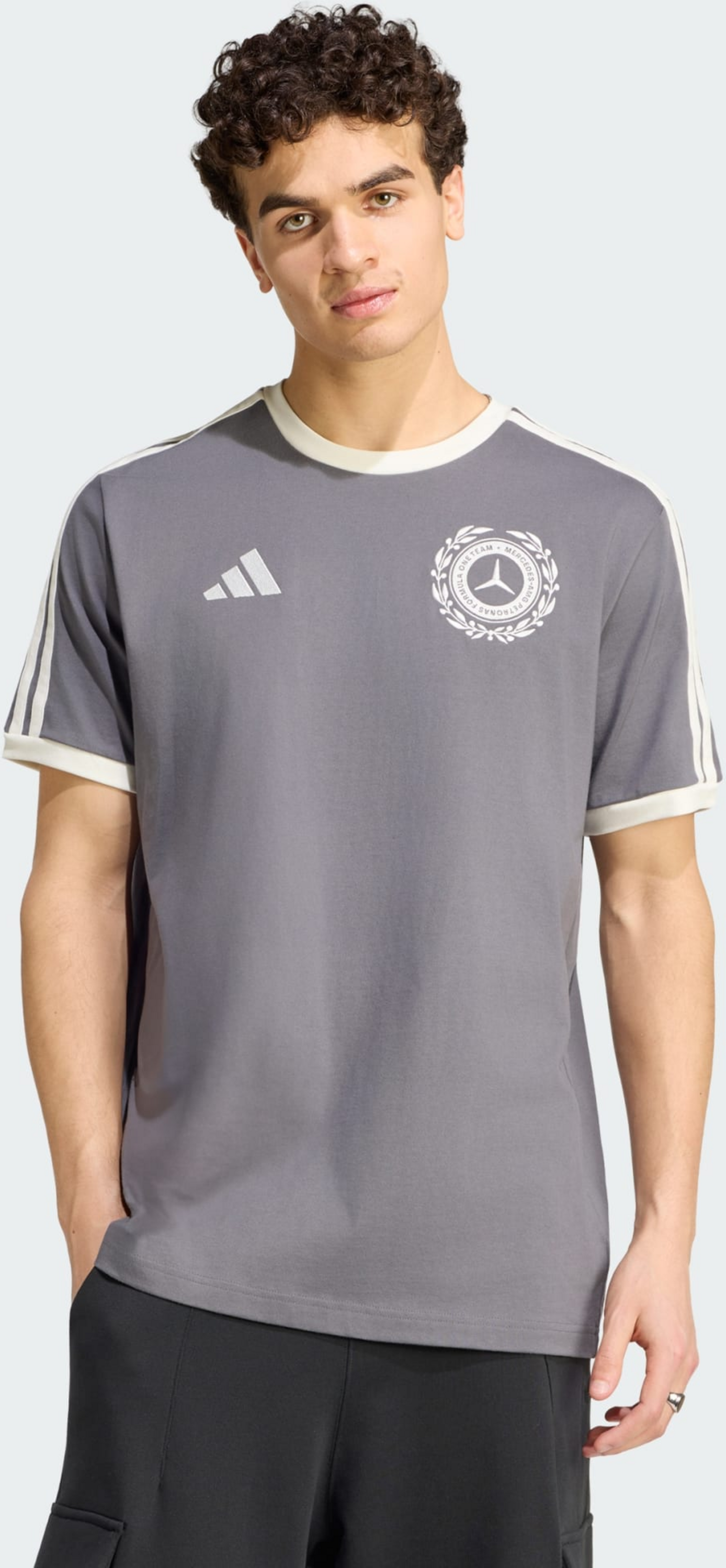 ADIDAS, Adidas Mercedes - Amg Petronas Formula 1 Team Silver Arrows Icon T-shirt M&auml;n