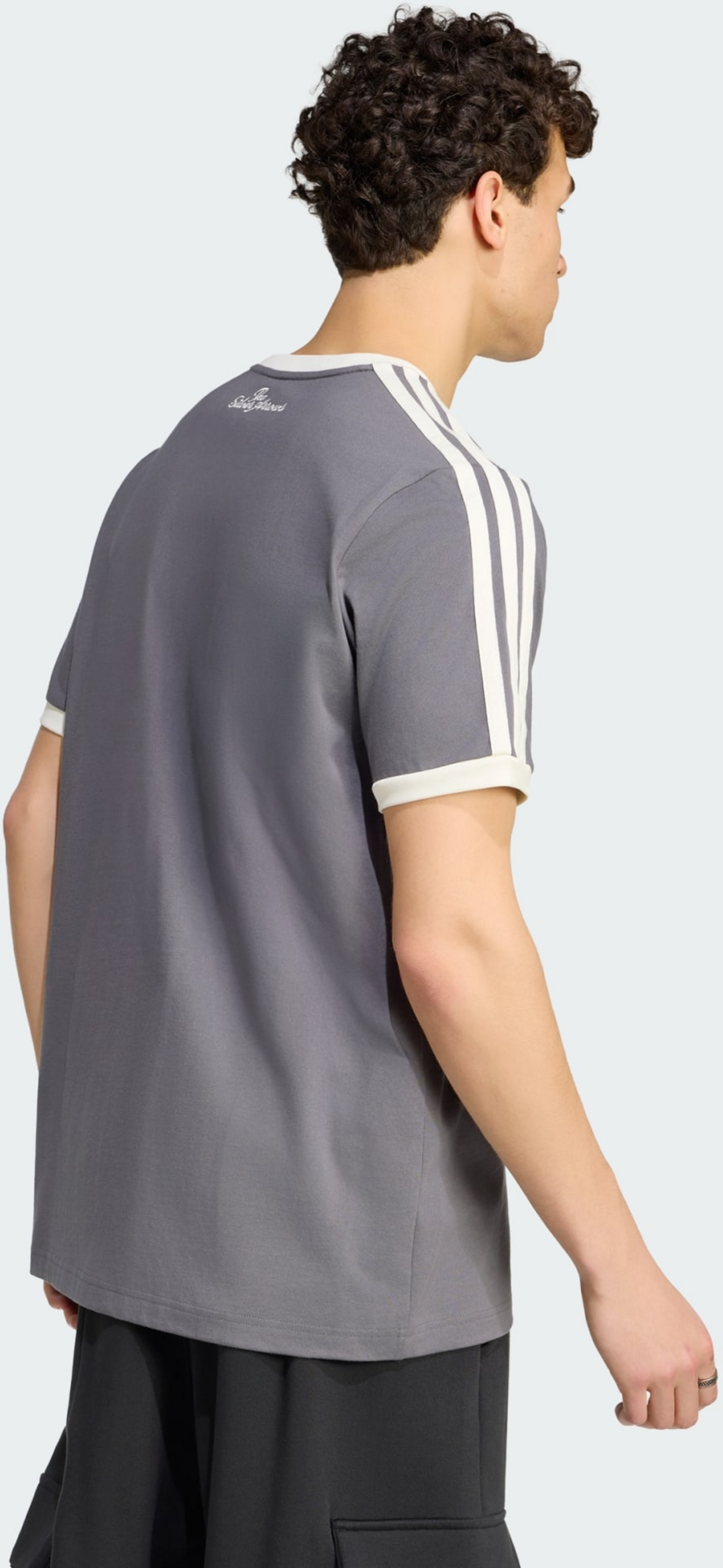ADIDAS, Adidas Mercedes - Amg Petronas Formula 1 Team Silver Arrows Icon T-shirt M&auml;n