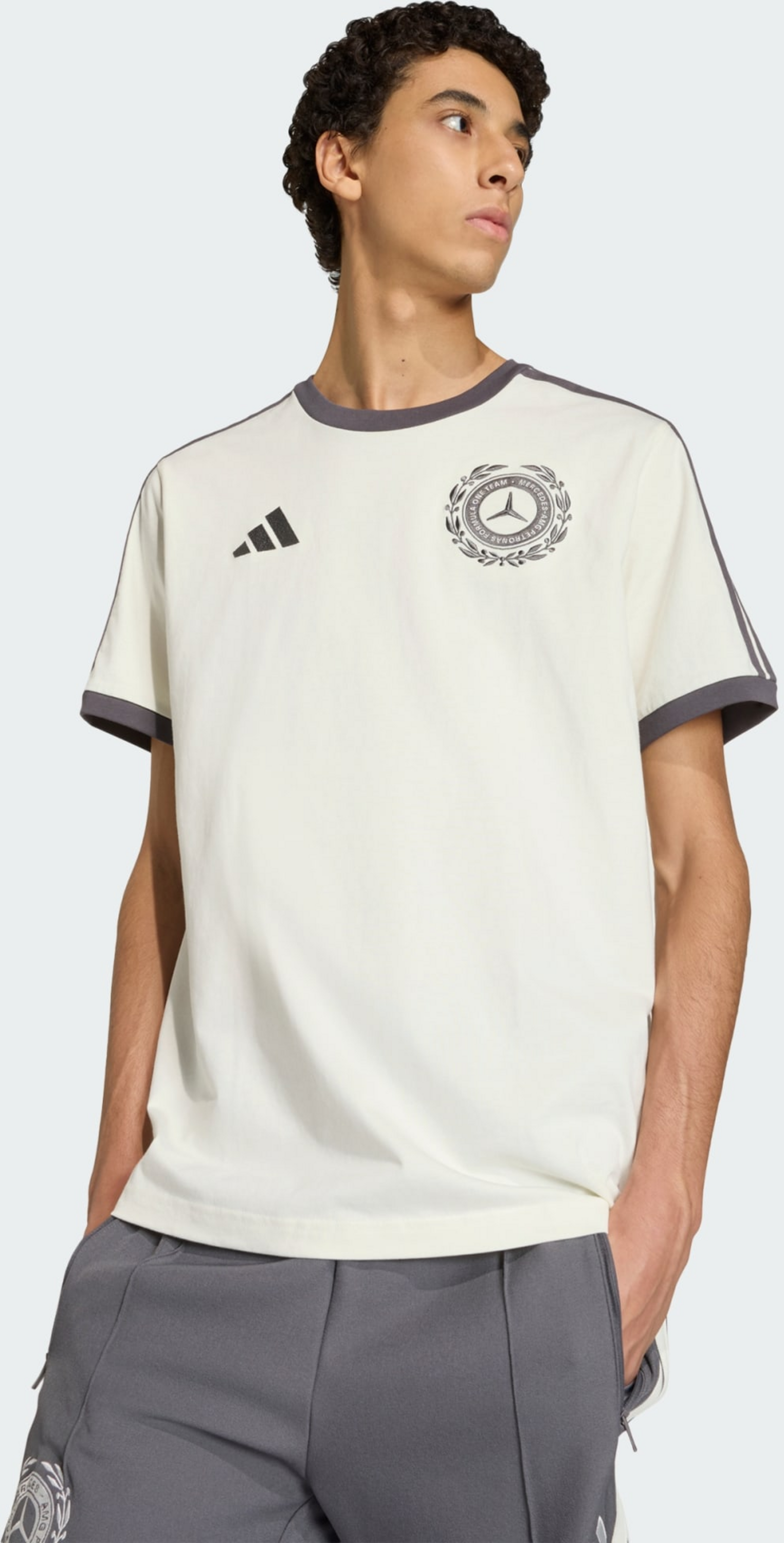 ADIDAS, Adidas Mercedes - Amg Petronas Formula 1 Team Silver Arrows Icon T-shirt M&auml;n