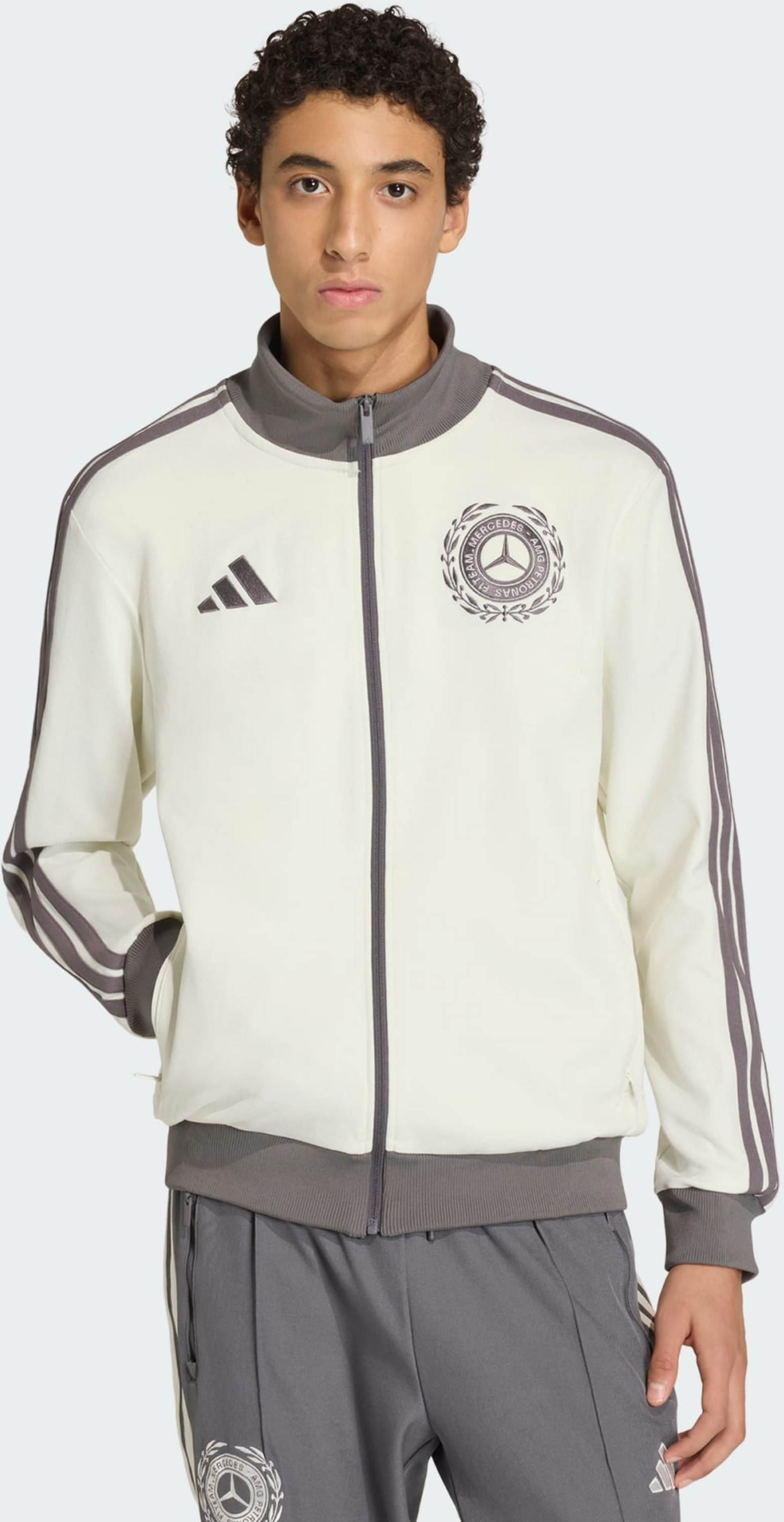 ADIDAS, Adidas Mercedes - Amg Petronas Formula 1 Team Silver Arrows Icon Tr&auml;ningsjacka F&ouml;r Herr