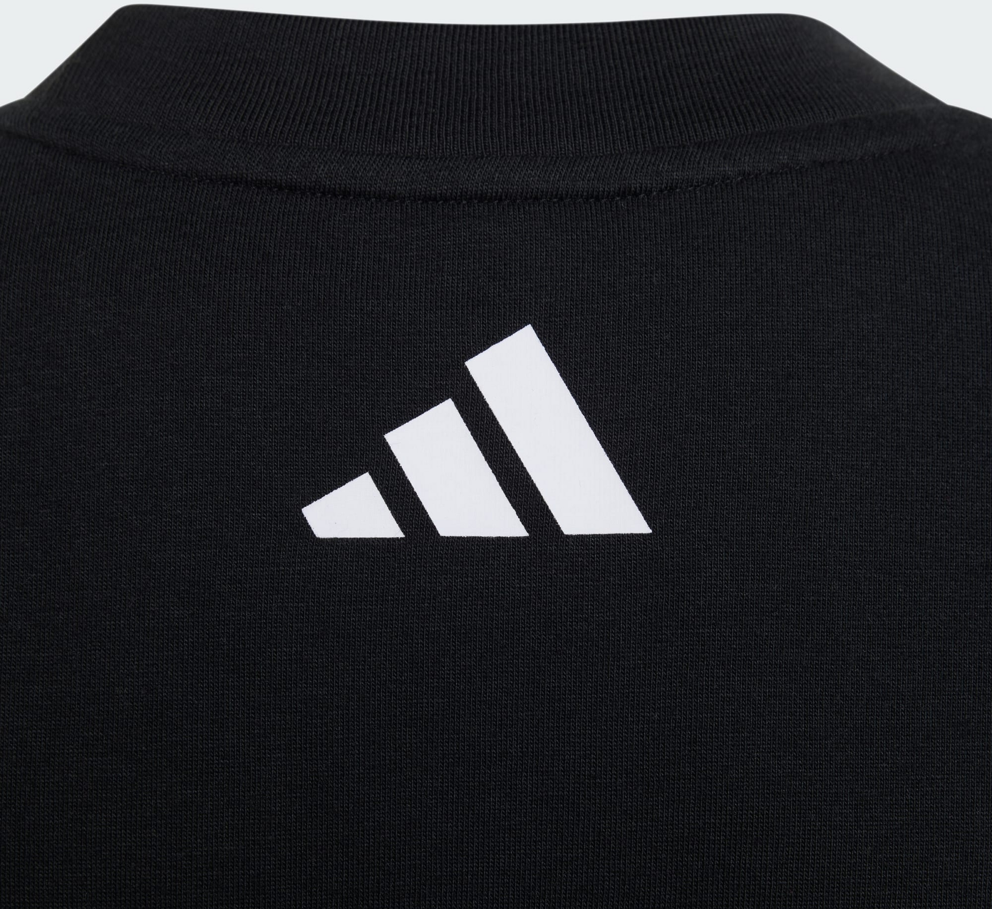 ADIDAS, Adidas Mercedes - Amg Petronas Formula 1-team Dna T-shirt Med Grafik