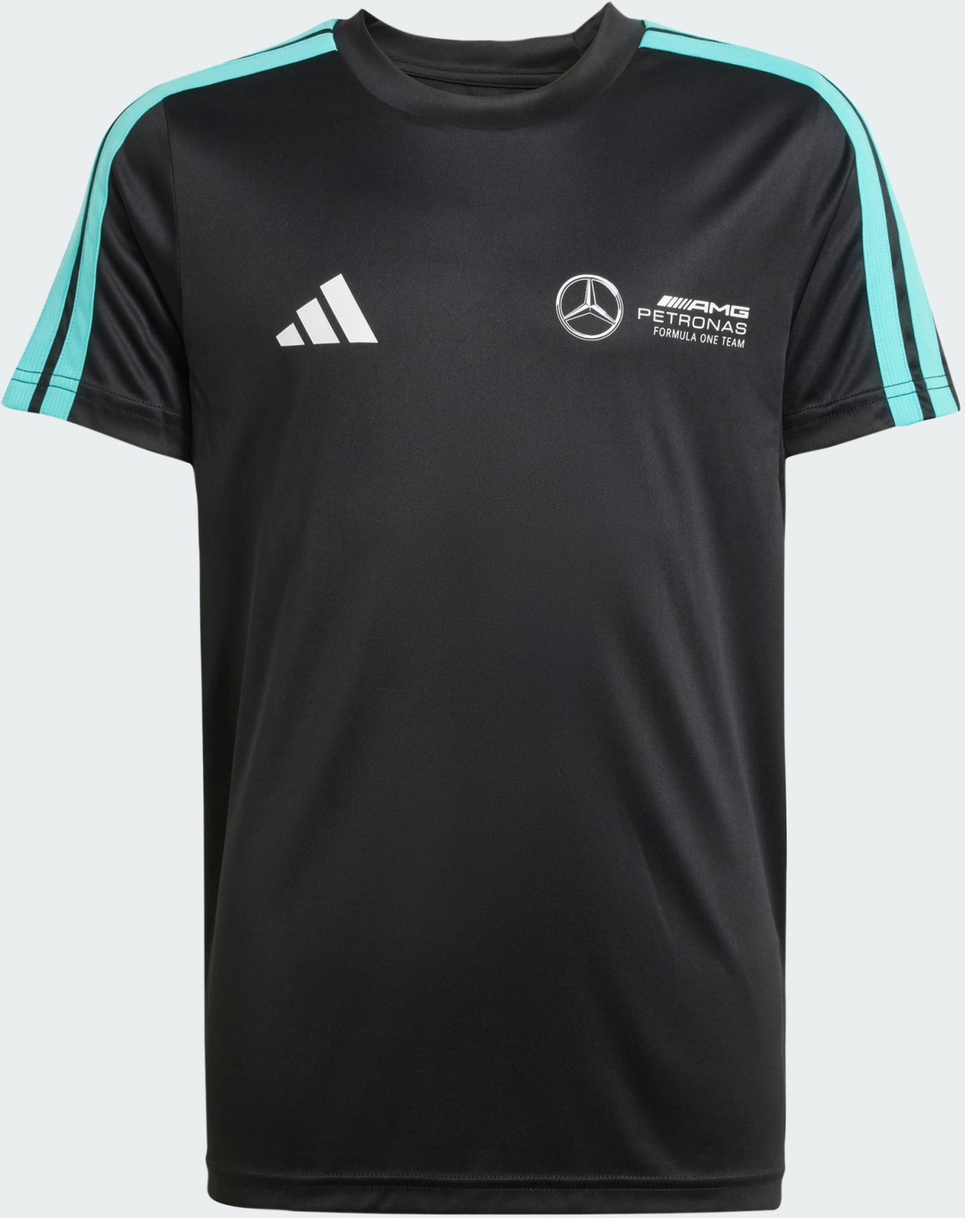 ADIDAS, Adidas Mercedes - Amg Petronas Formula One Team Dna T-shirt