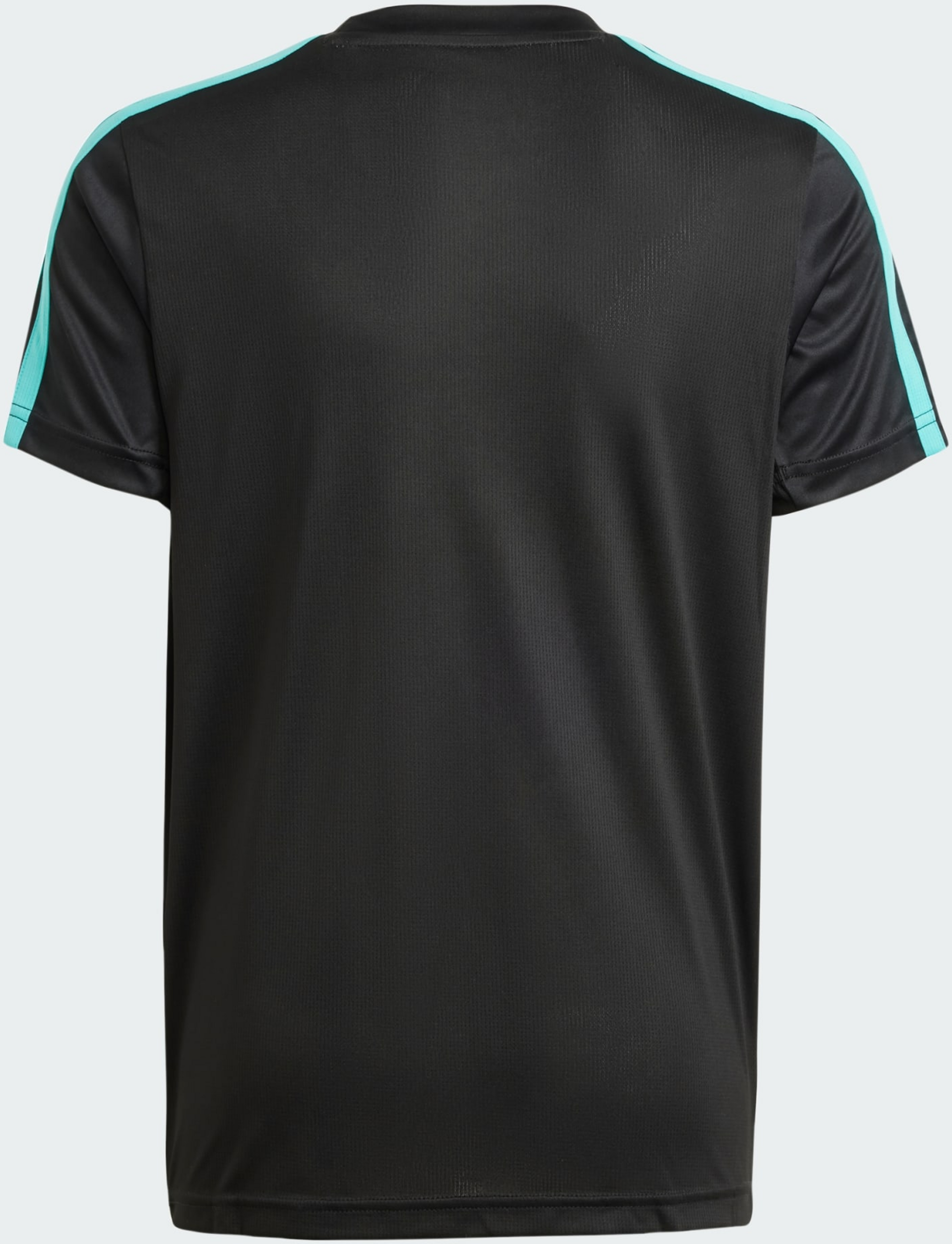 ADIDAS, Adidas Mercedes - Amg Petronas Formula One Team Dna T-shirt